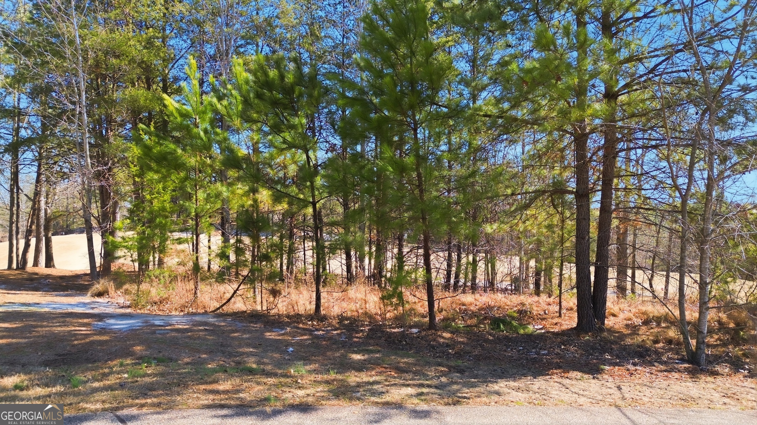 101 Cottage Lane Property Photo 2