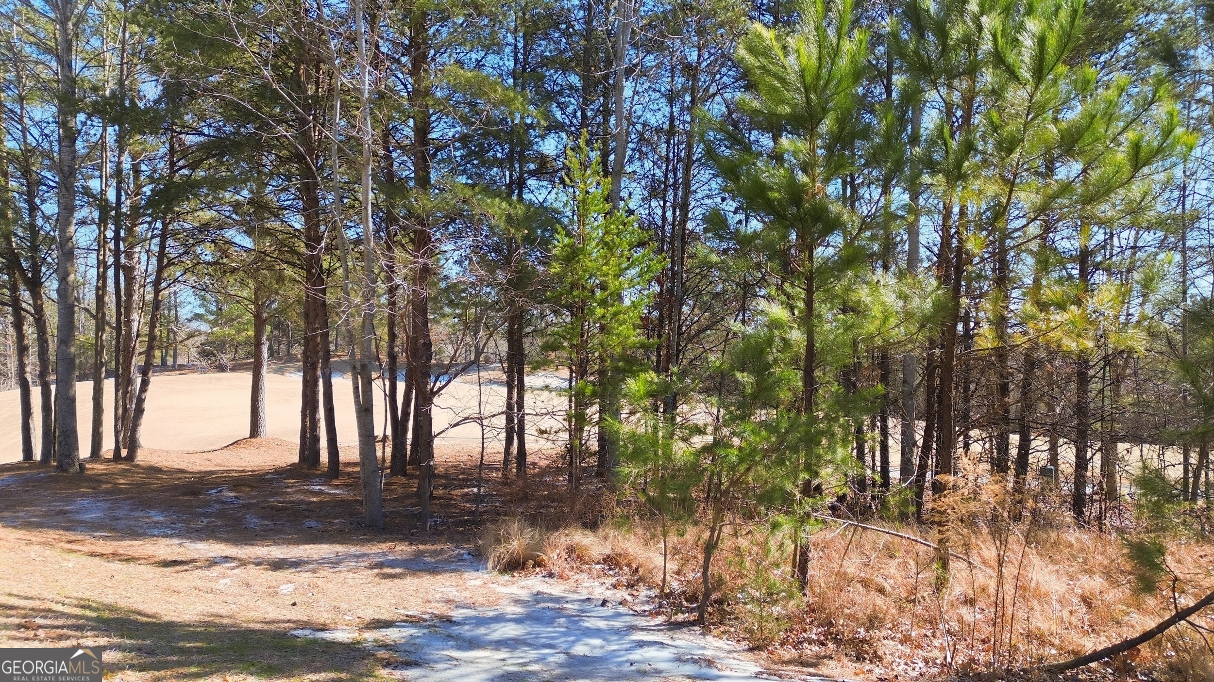 101 Cottage Lane Property Photo 3