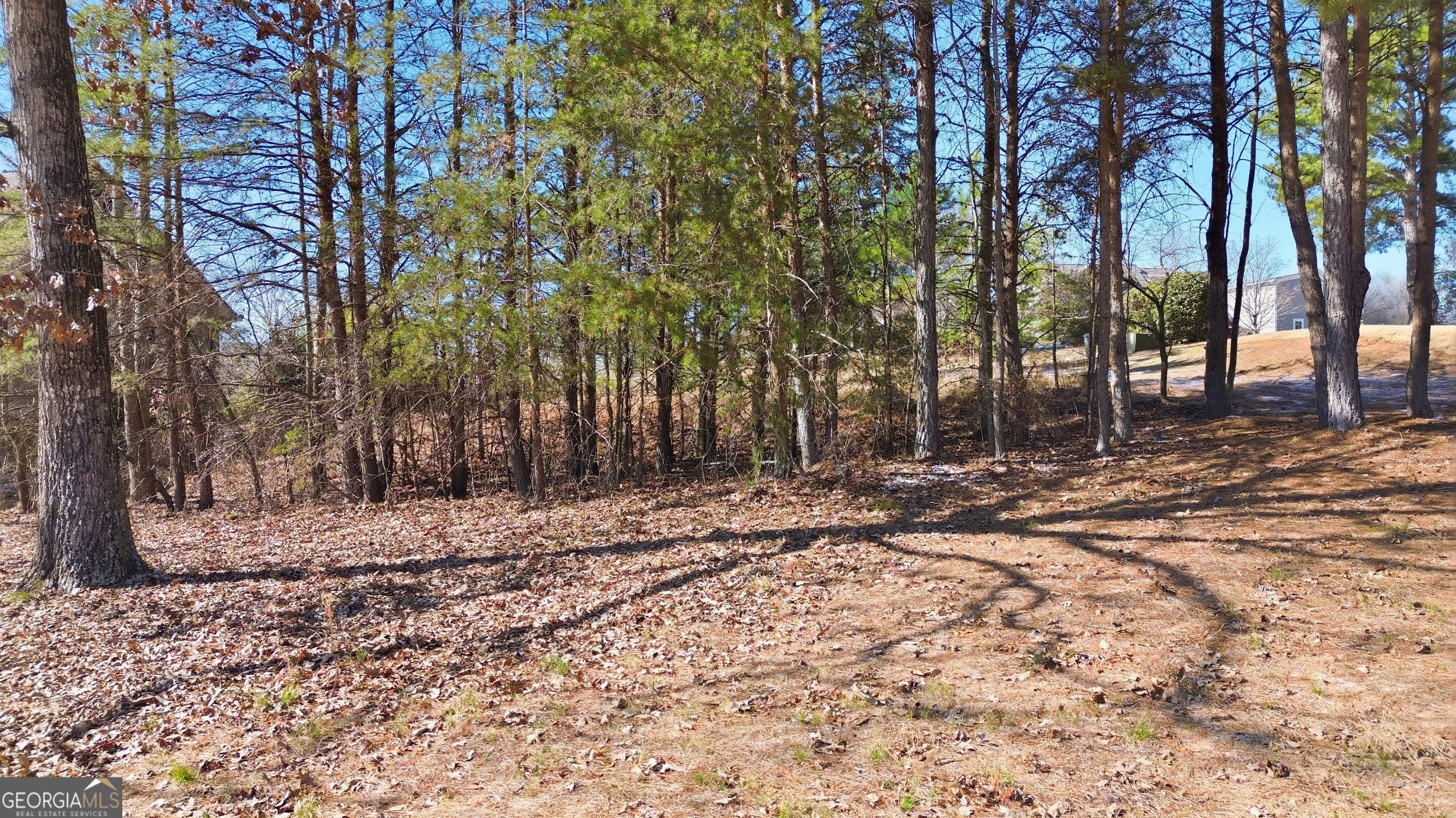 101 Cottage Lane Property Photo 13