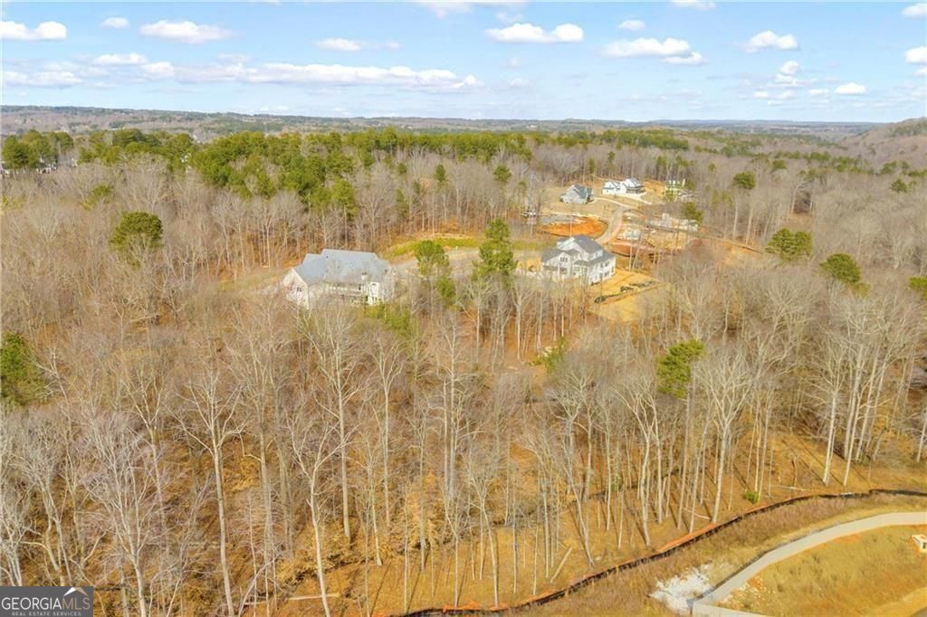 3019 Turning Creek Trail Property Photo 10