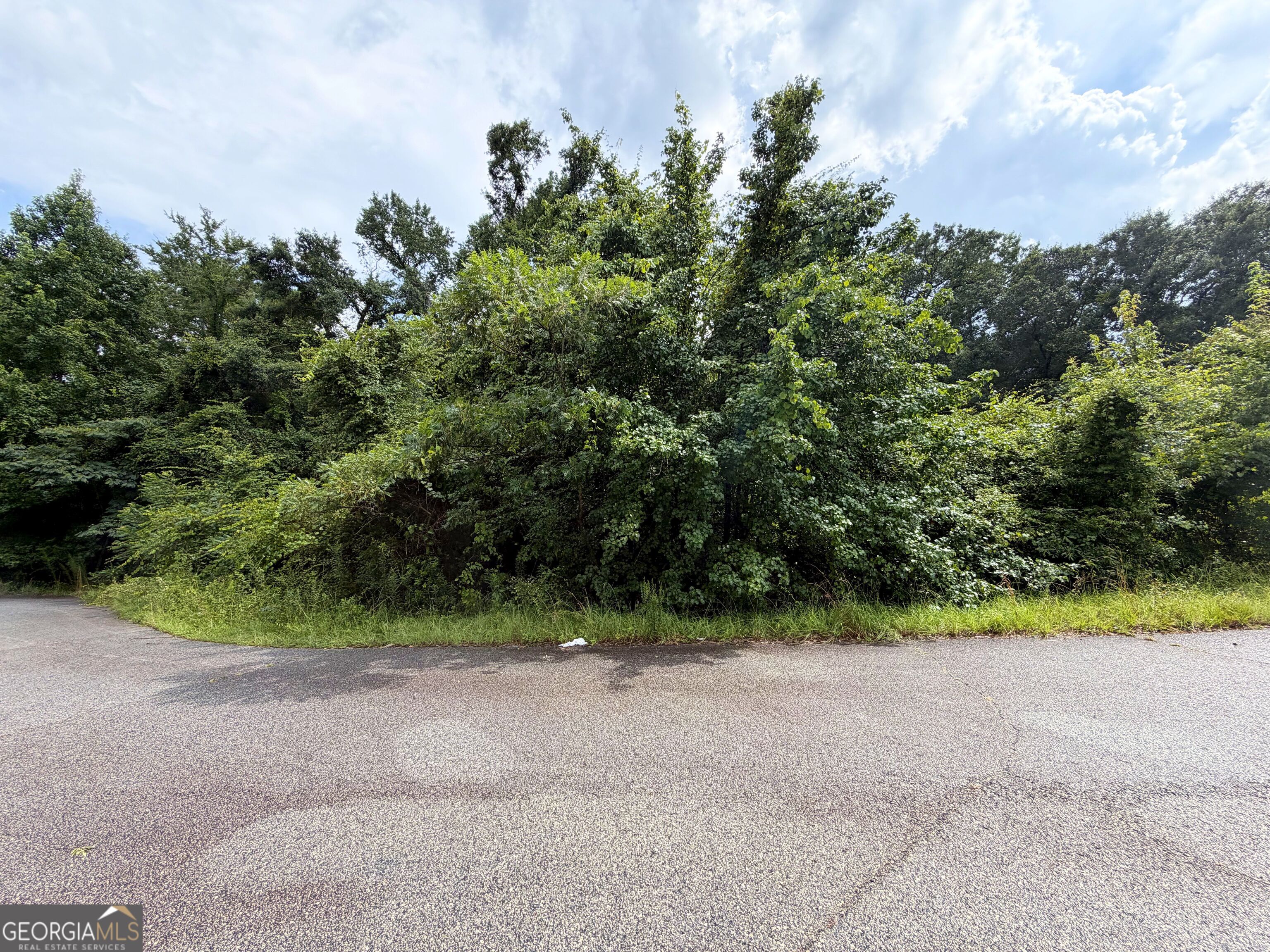 319 Hawk Court Property Photo 1