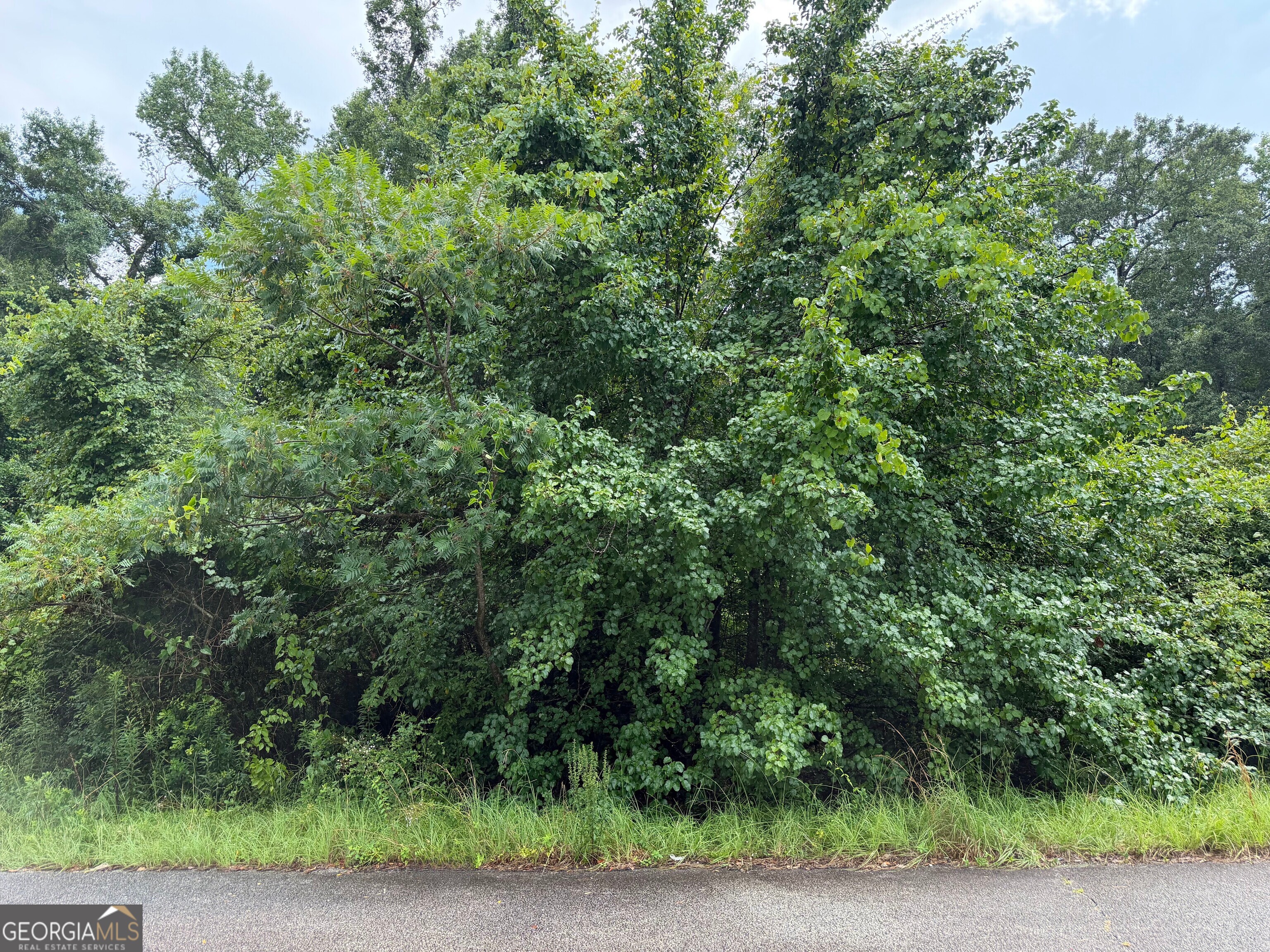 319 Hawk Court Property Photo 4