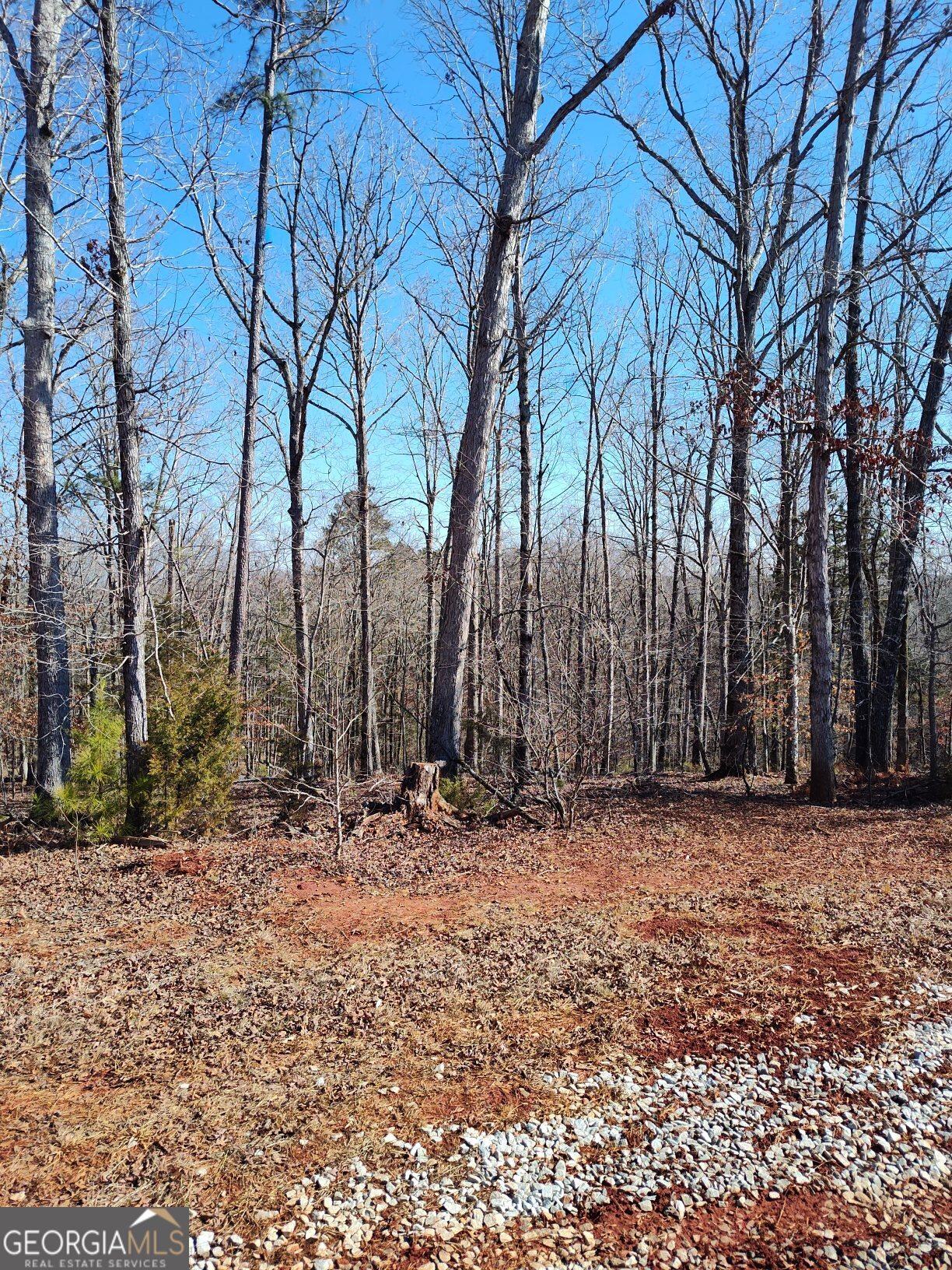 1798 Pearl Mill Road Property Photo 4