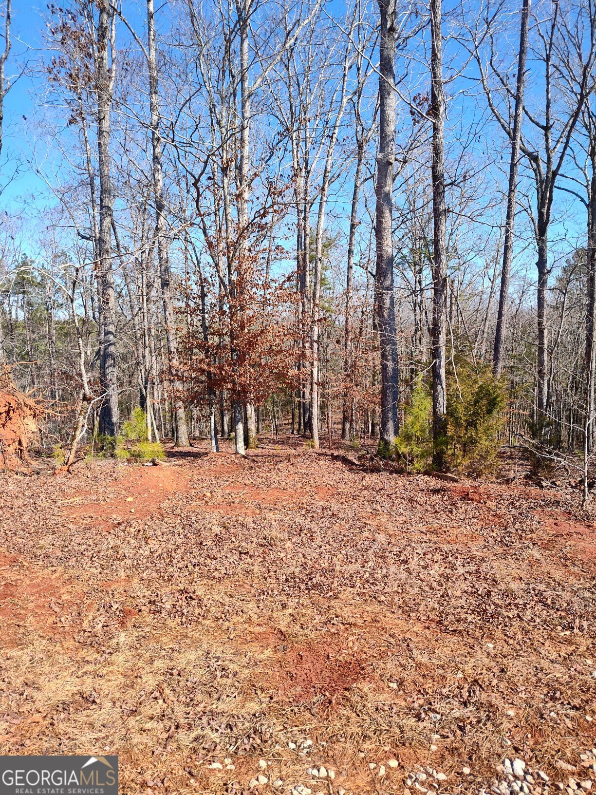 1798 Pearl Mill Road Property Photo 5