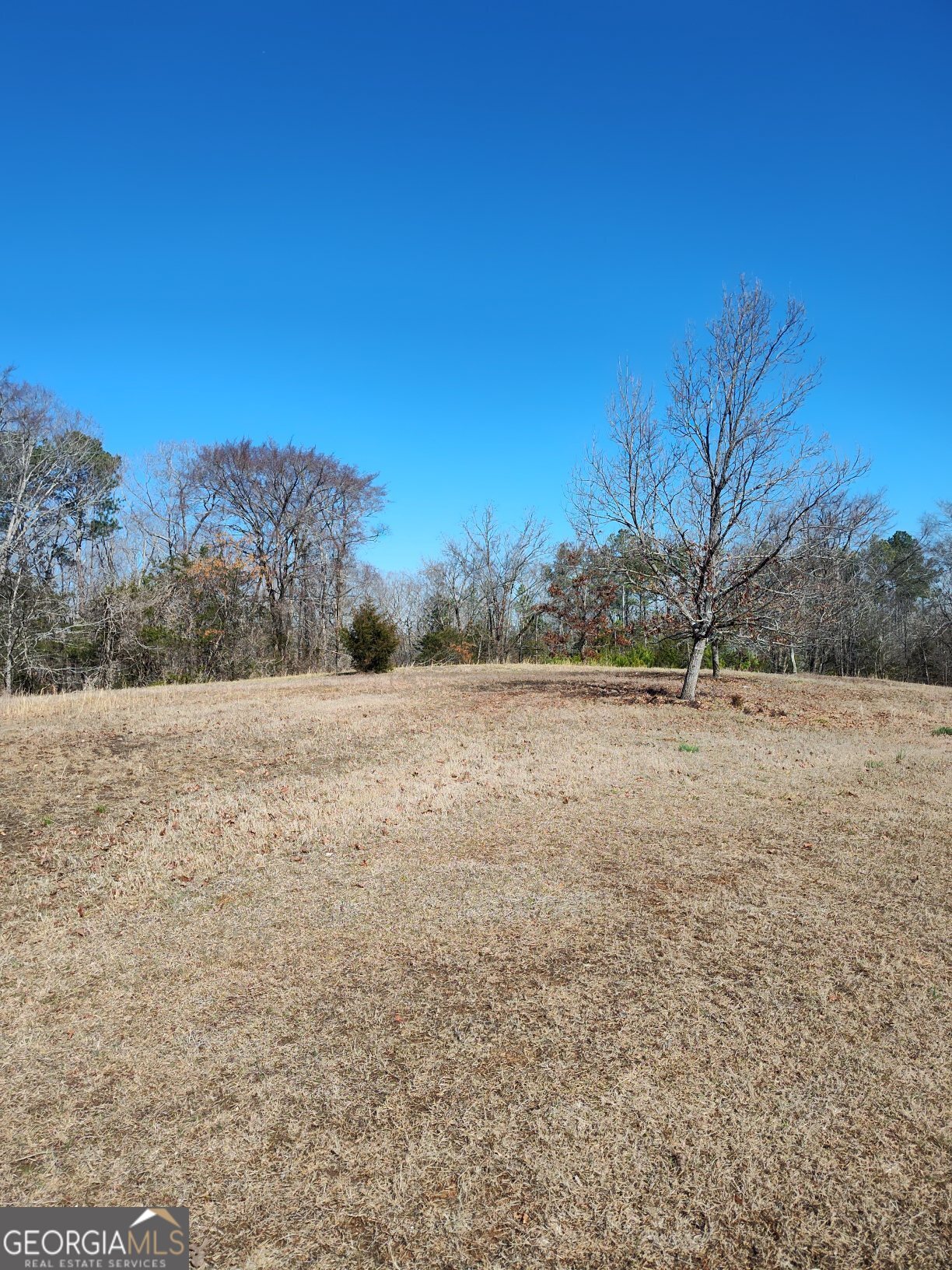 1798 Pearl Mill Road Property Photo 6