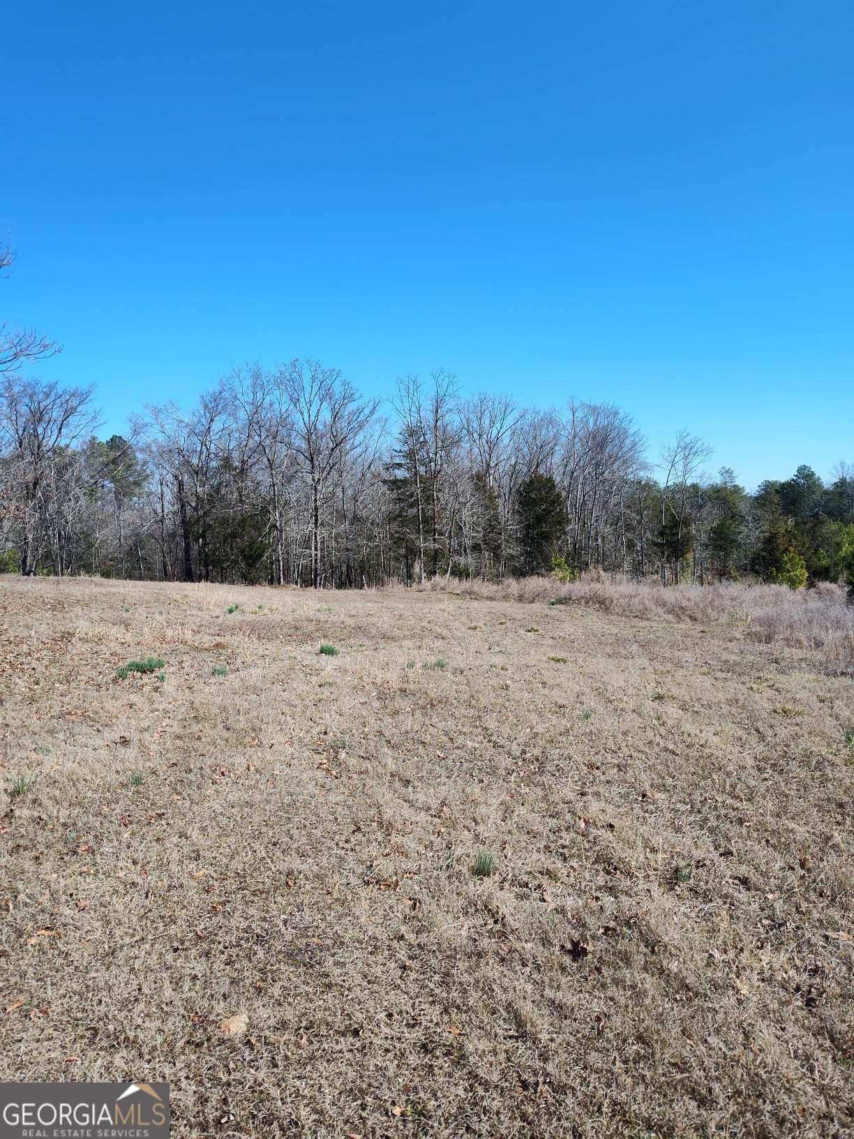 1798 Pearl Mill Road Property Photo 7