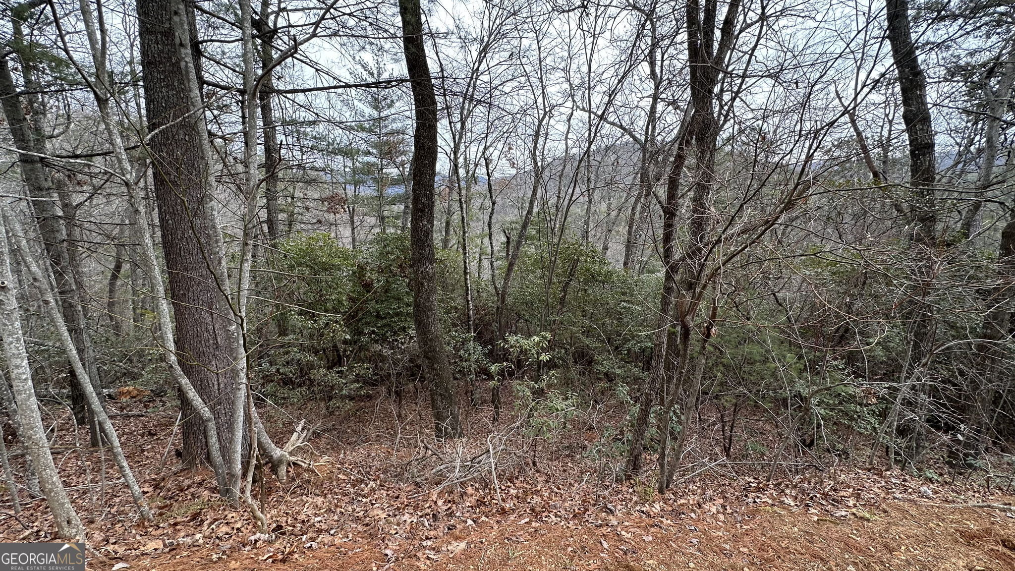 Lot 121 Doolittle Drive Property Photo 3