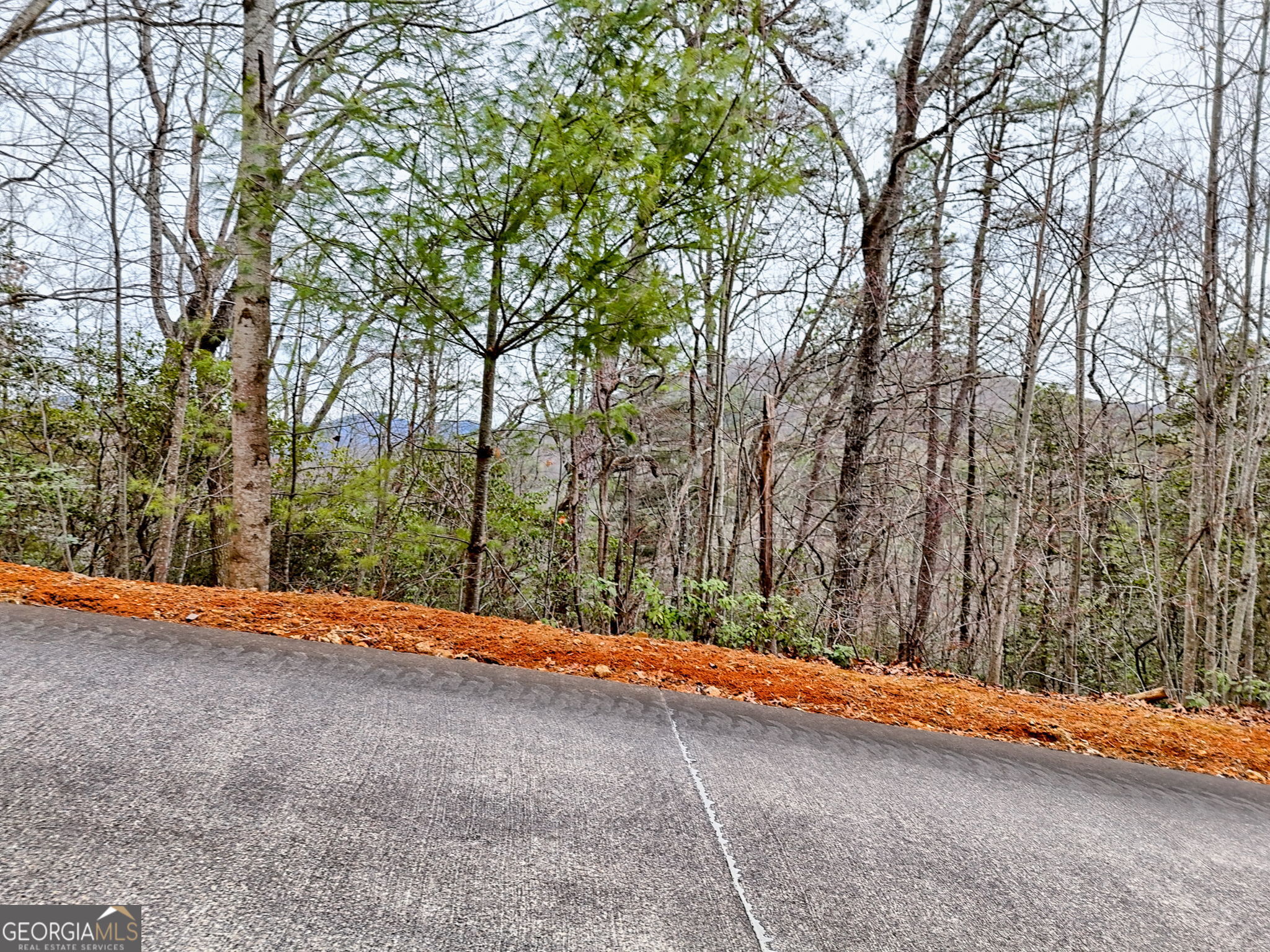 Lot 121 Doolittle Drive Property Photo 4
