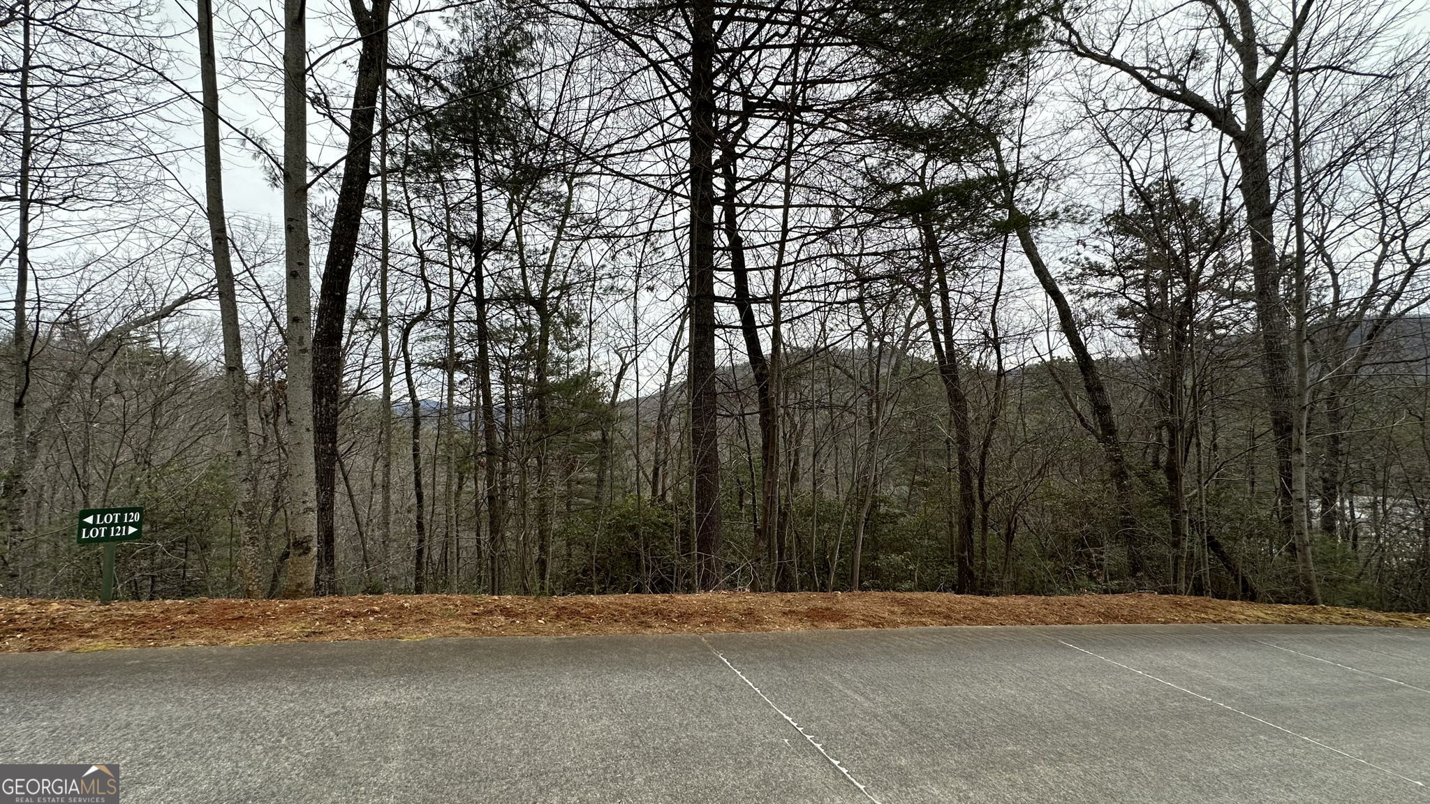Lot 121 Doolittle Drive Property Photo 9