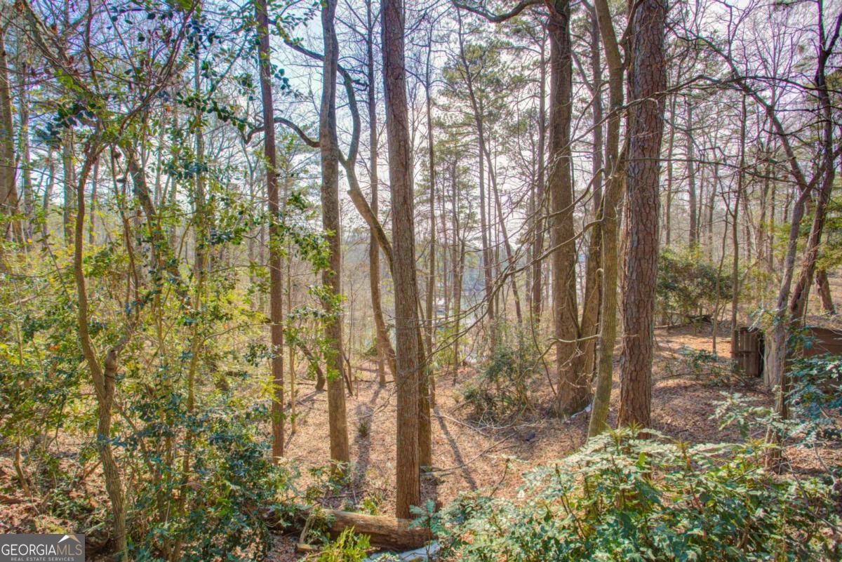 20 Pine Forest Circle Property Photo 4
