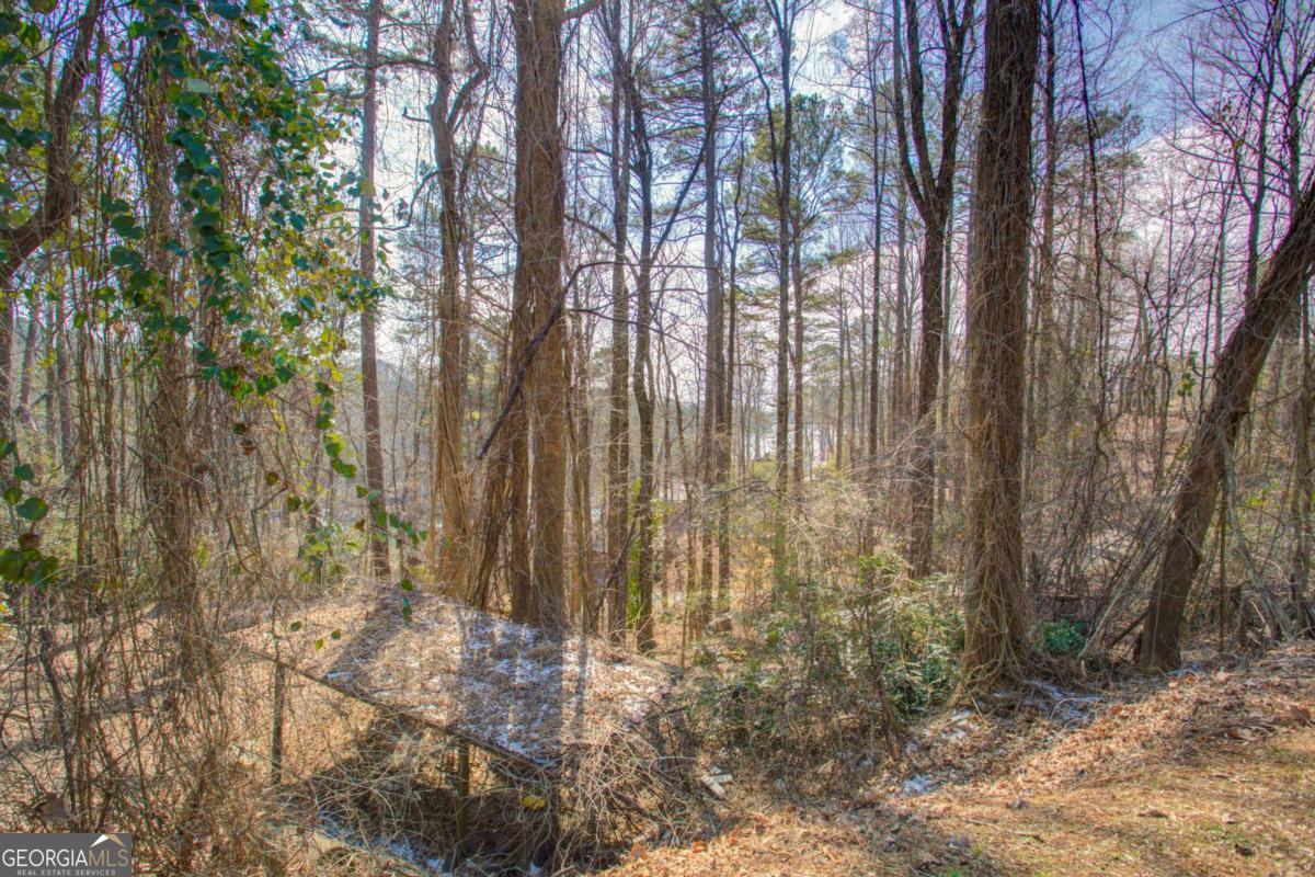 20 Pine Forest Circle Property Photo 5