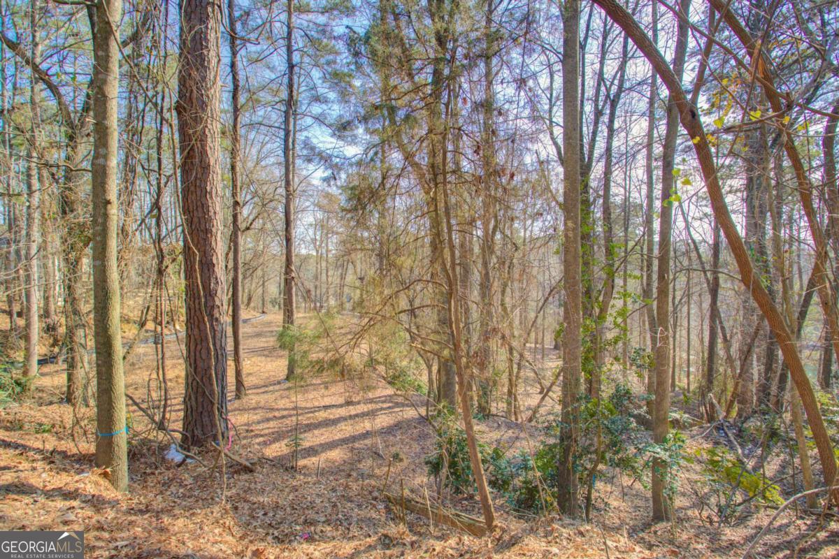20 Pine Forest Circle Property Photo 6