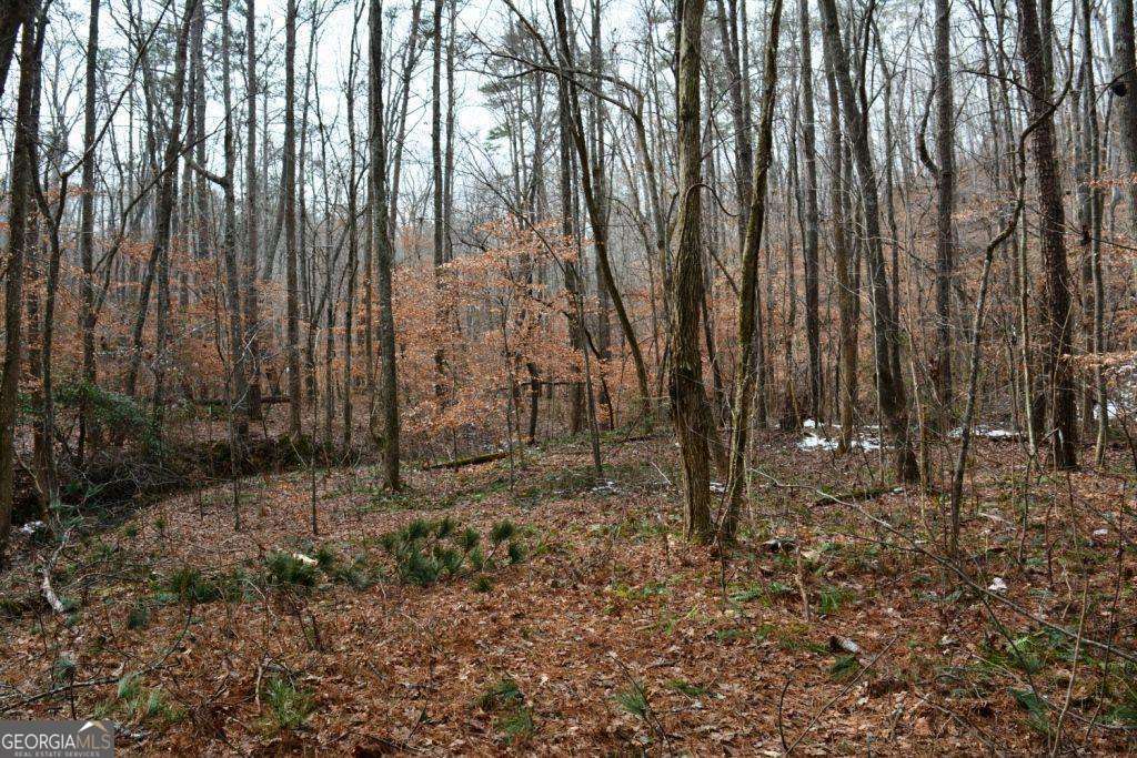 0 Willow Springs Road Property Photo 2