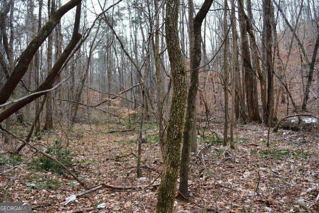 0 Willow Springs Road Property Photo 3