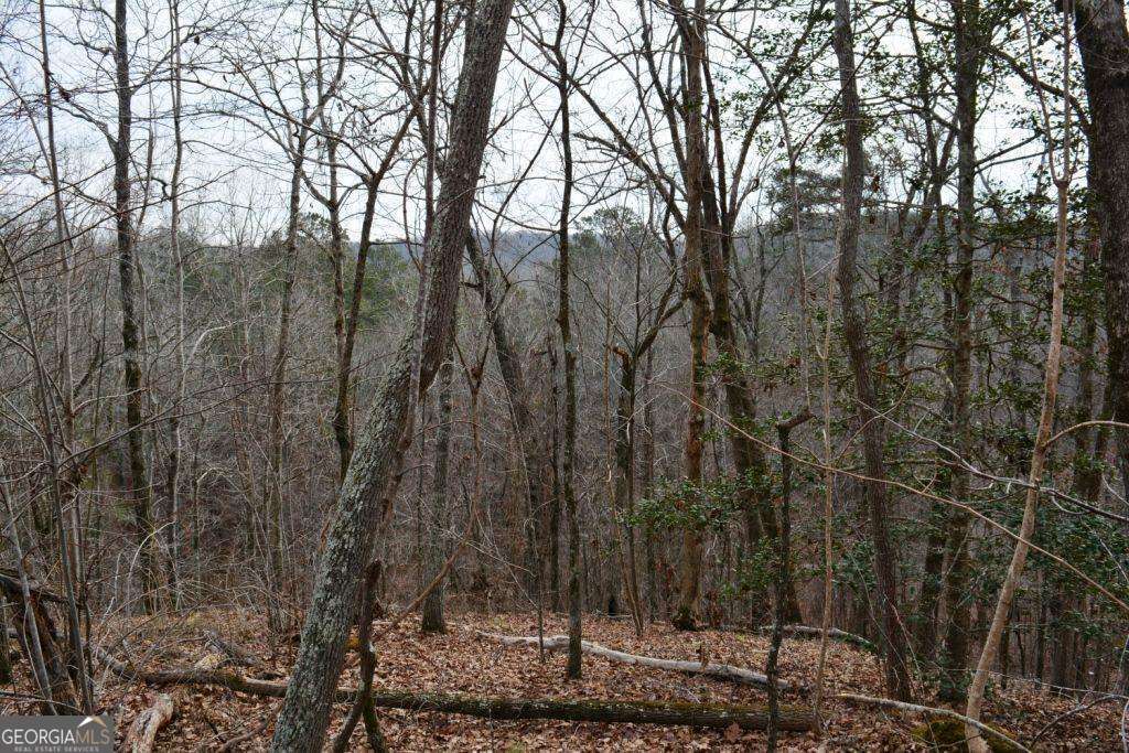 0 Willow Springs Road Property Photo 4