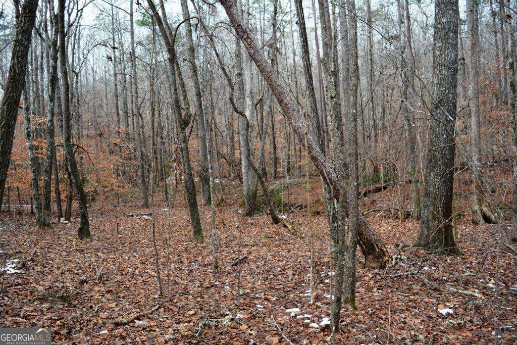 0 Willow Springs Road Property Photo 5