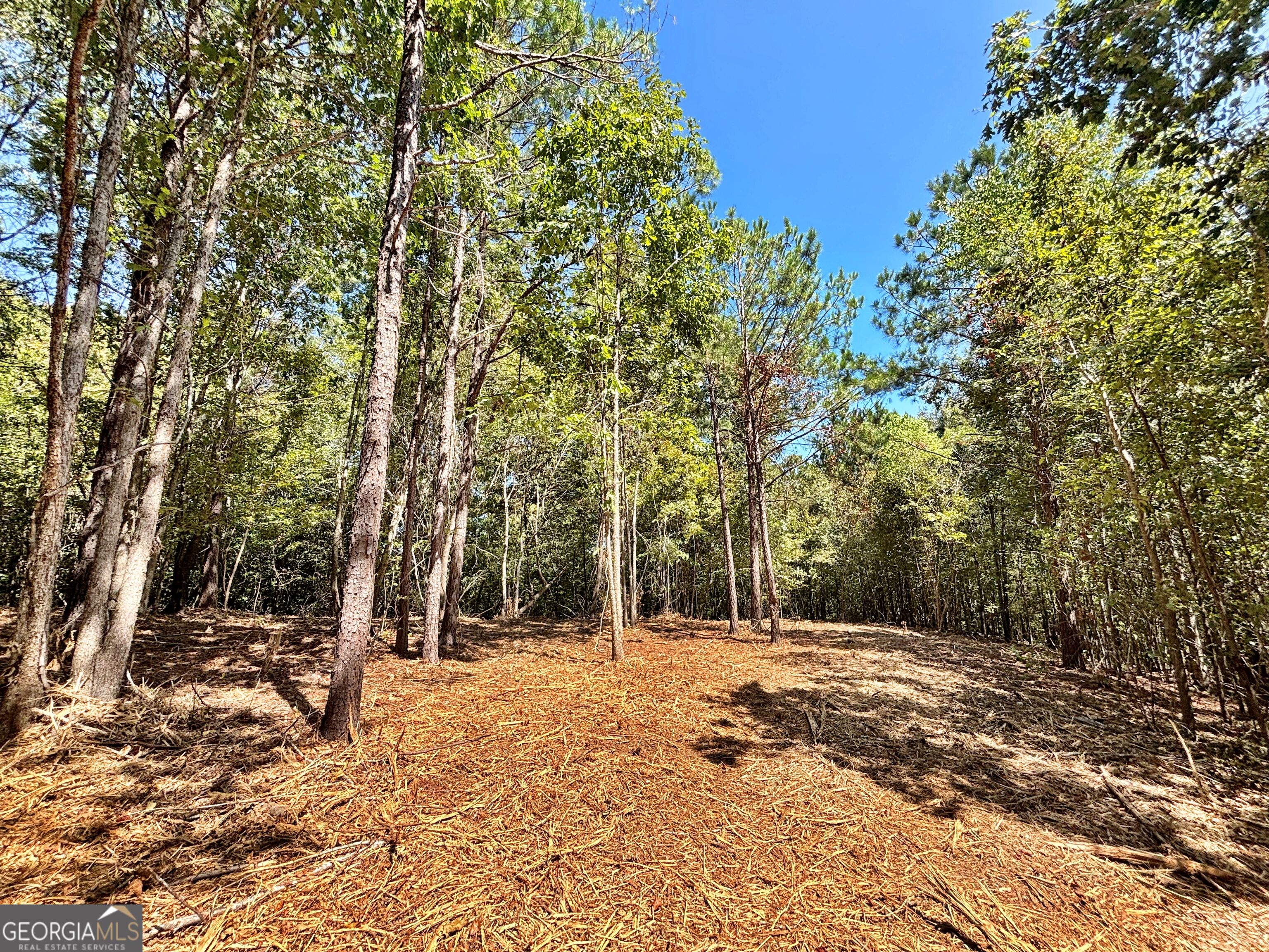 6411 Columbus Road Property Photo 8