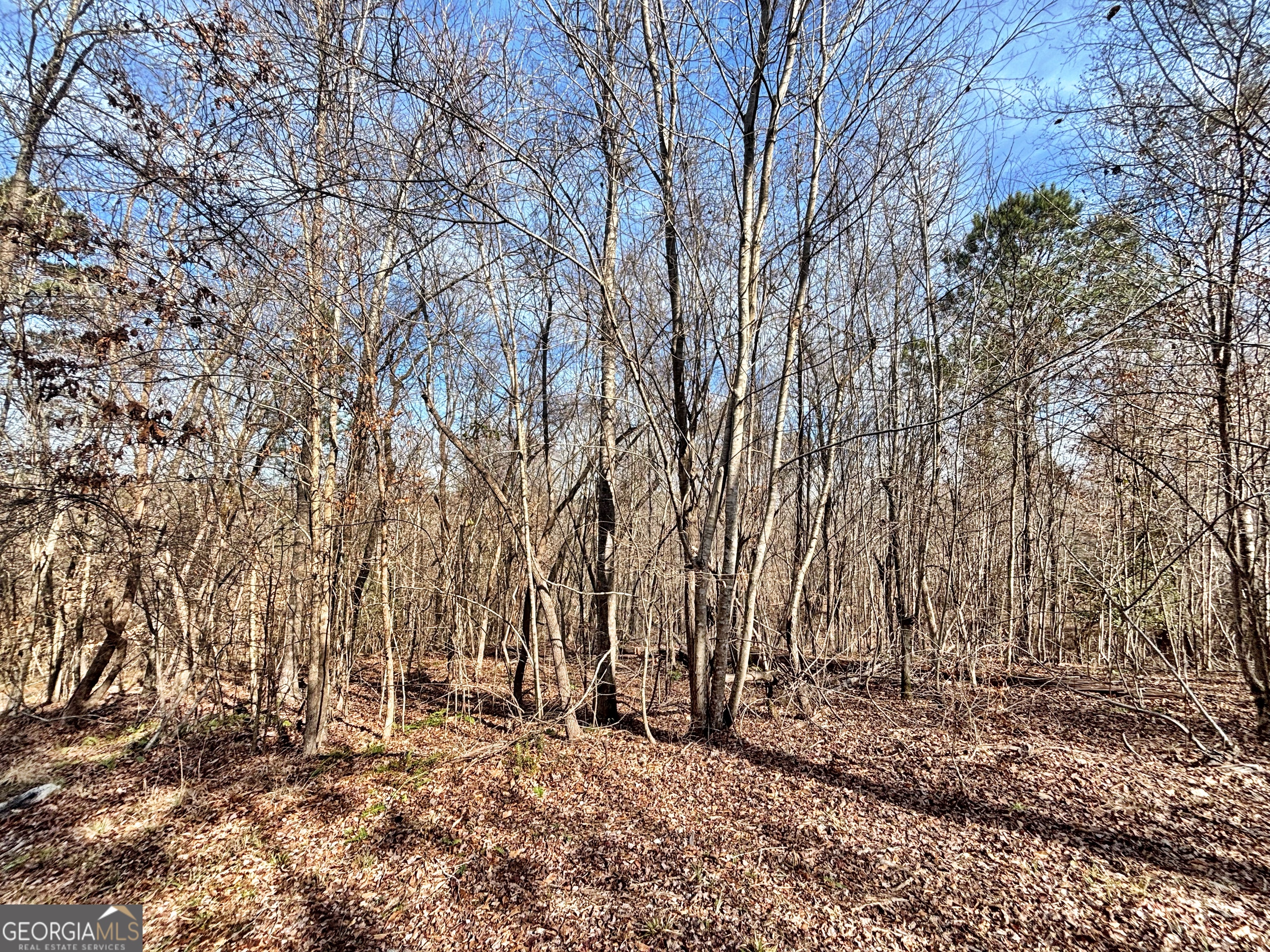 6411 Columbus Road Property Photo 13