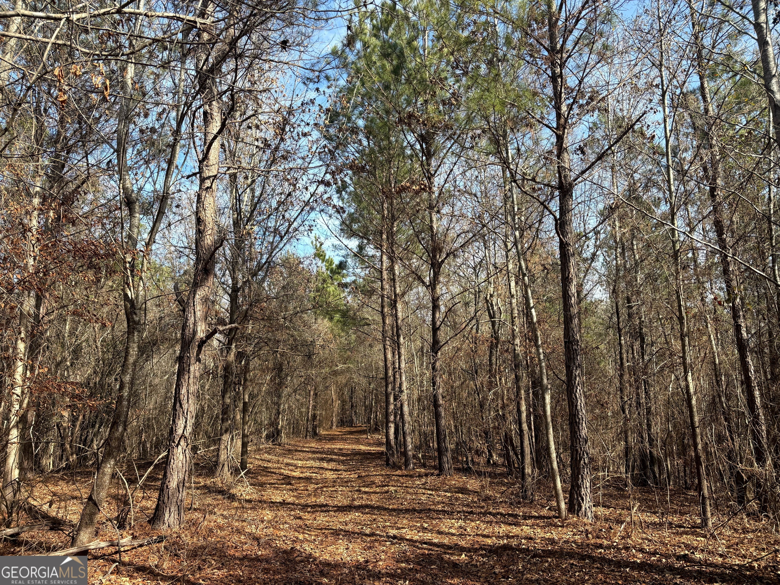 6411 Columbus Road Property Photo 14