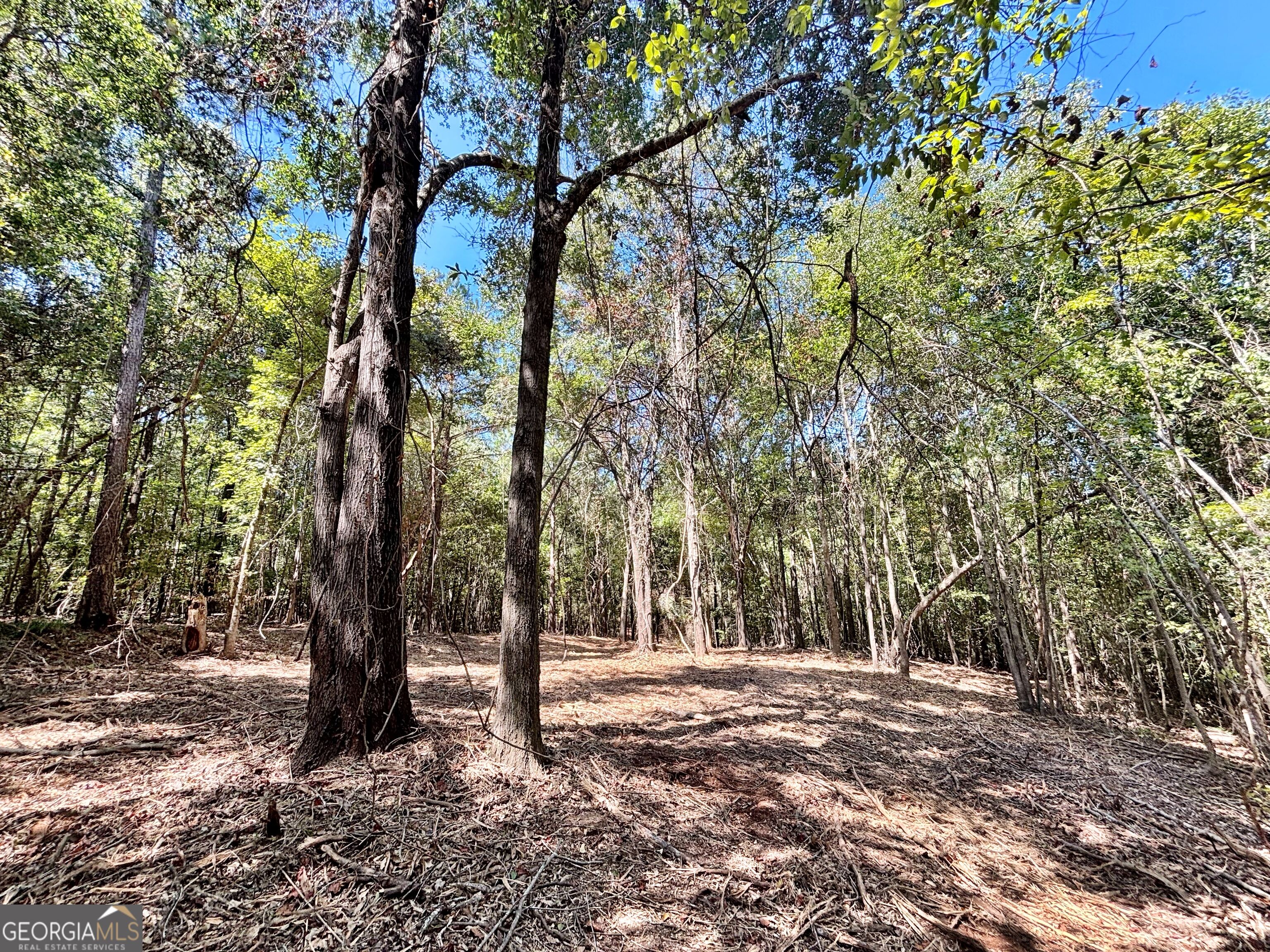 6411 Columbus Road Property Photo 17
