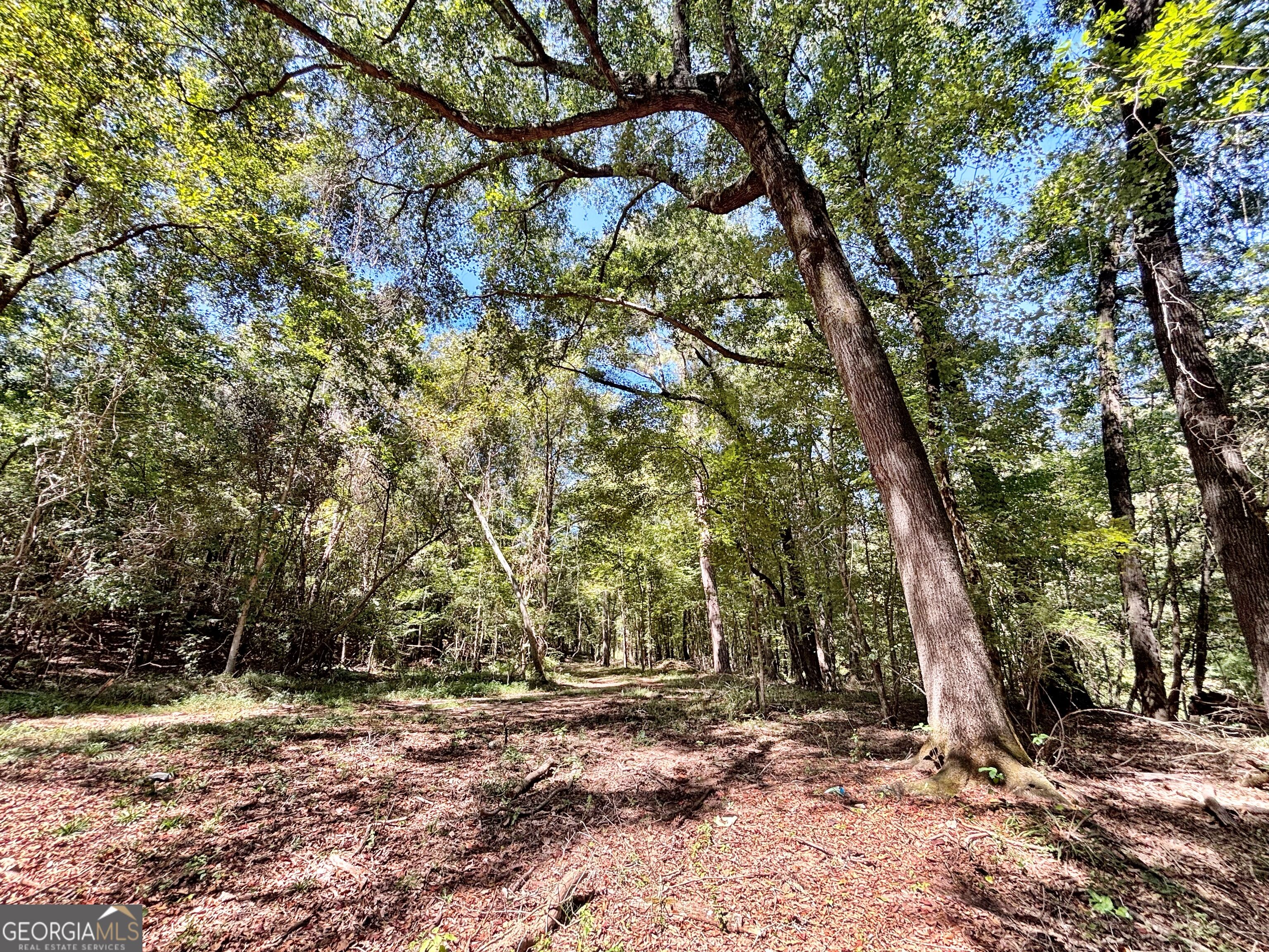 6411 Columbus Road Property Photo 18