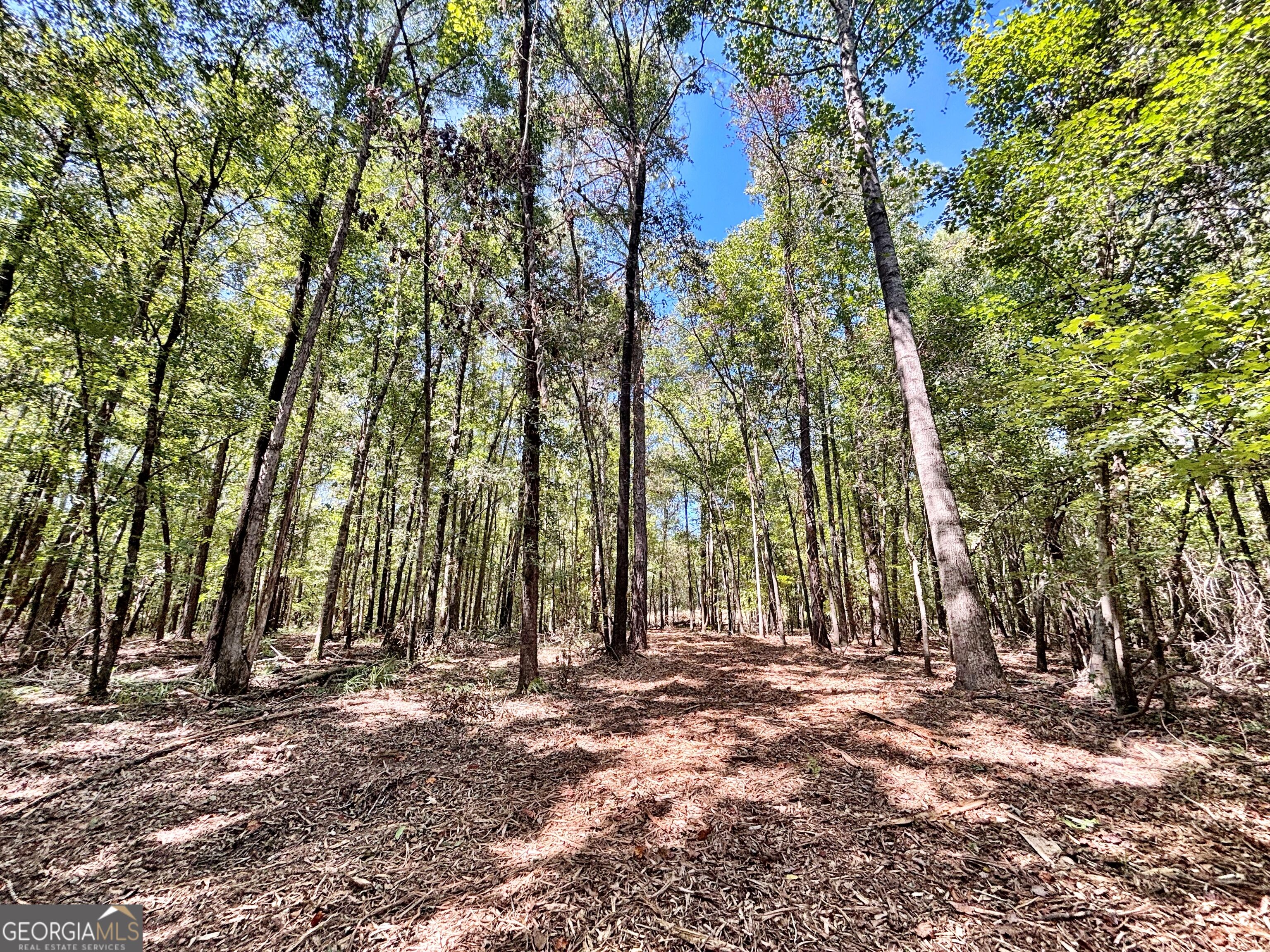 6411 Columbus Road Property Photo 19