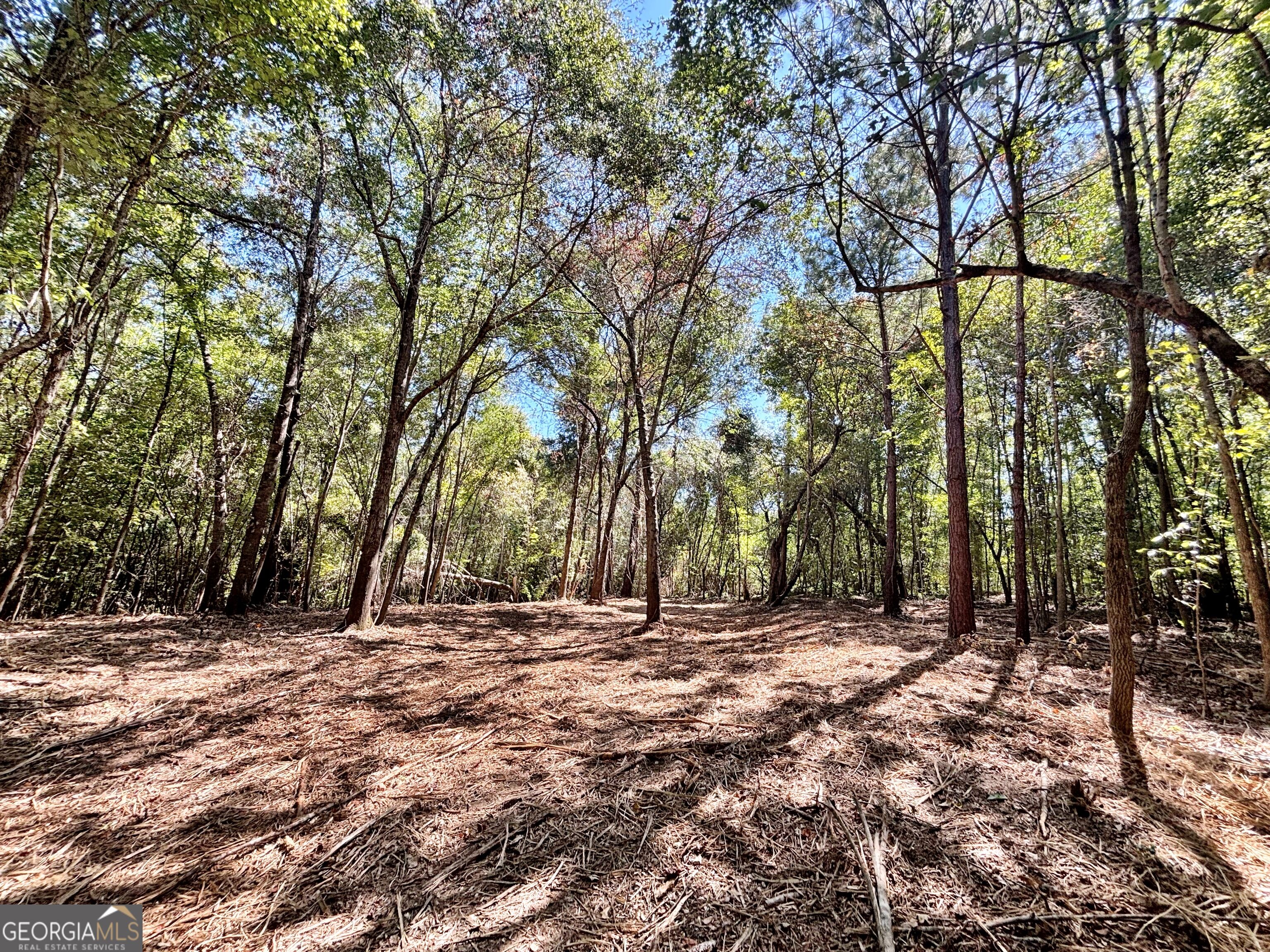 6411 Columbus Road Property Photo 21