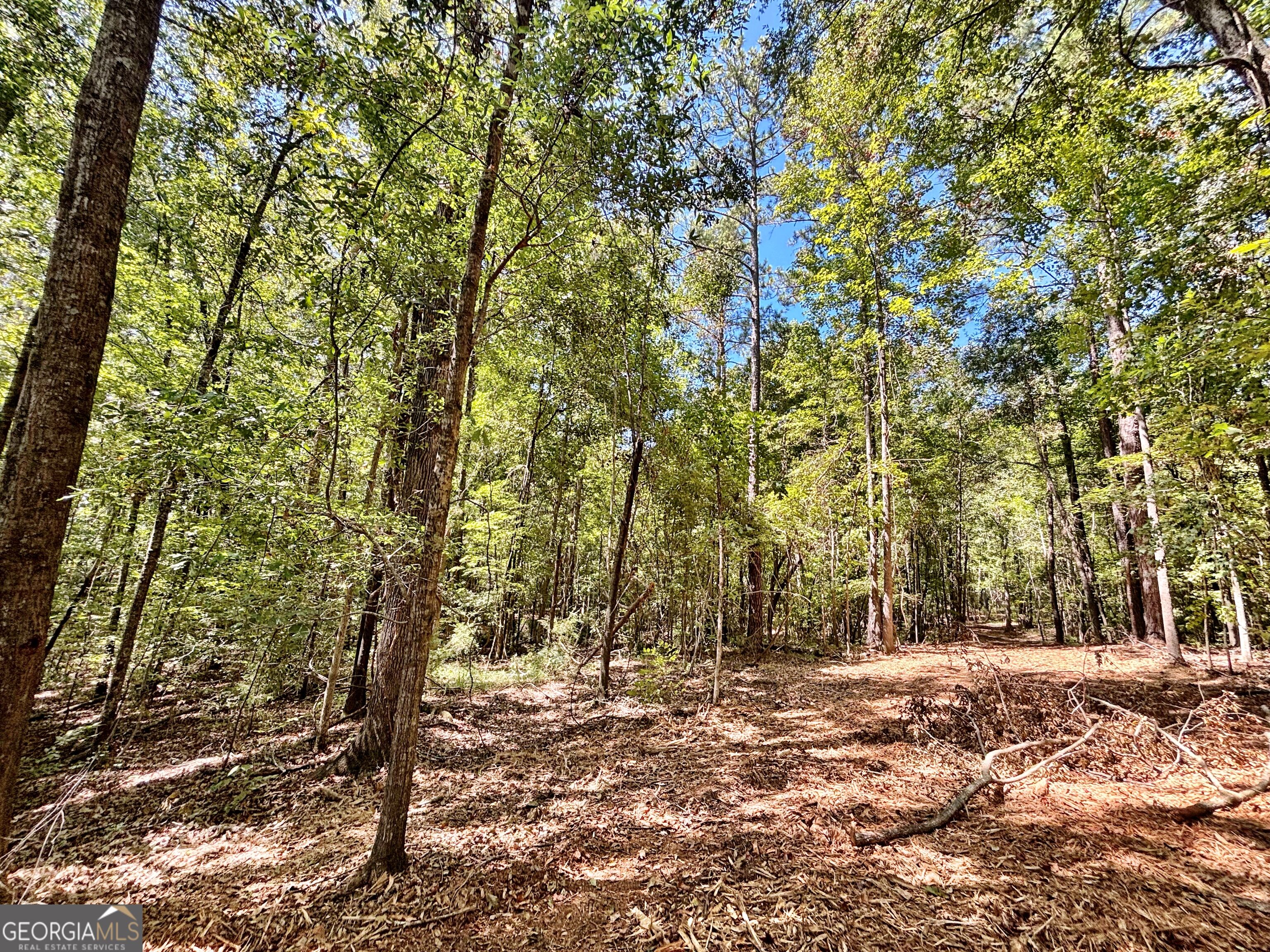 6411 Columbus Road Property Photo 22