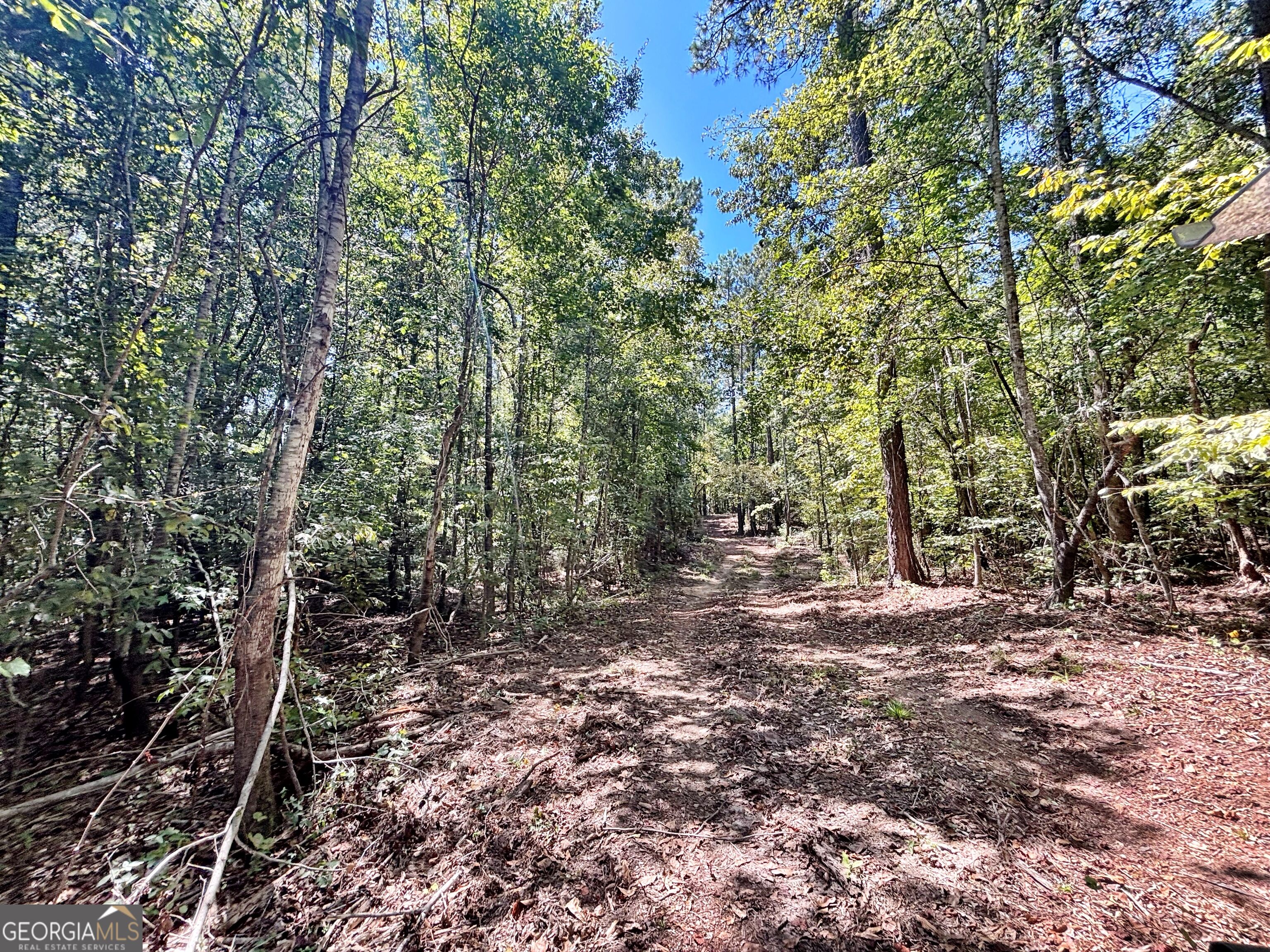 6411 Columbus Road Property Photo 24