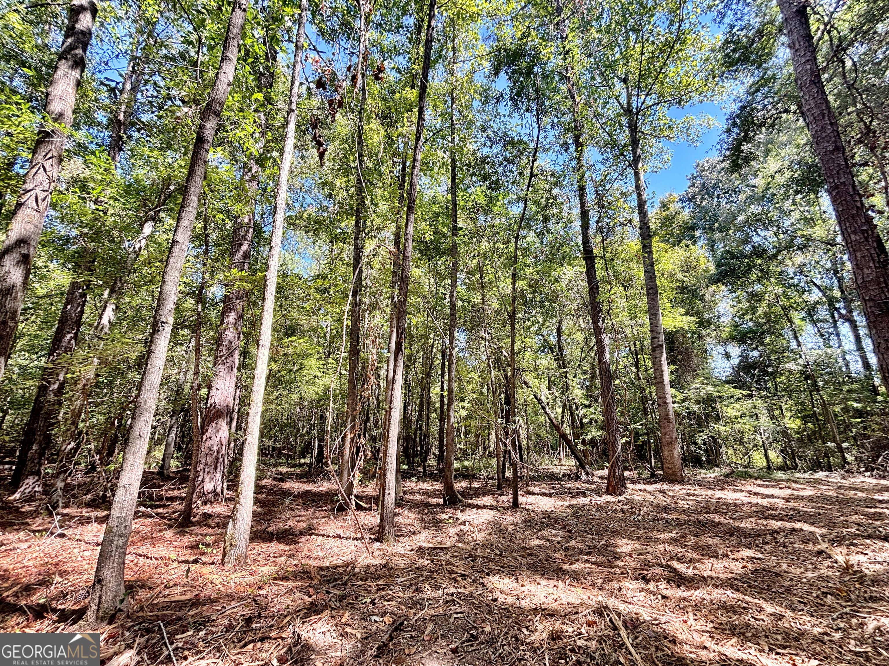 6411 Columbus Road Property Photo 27