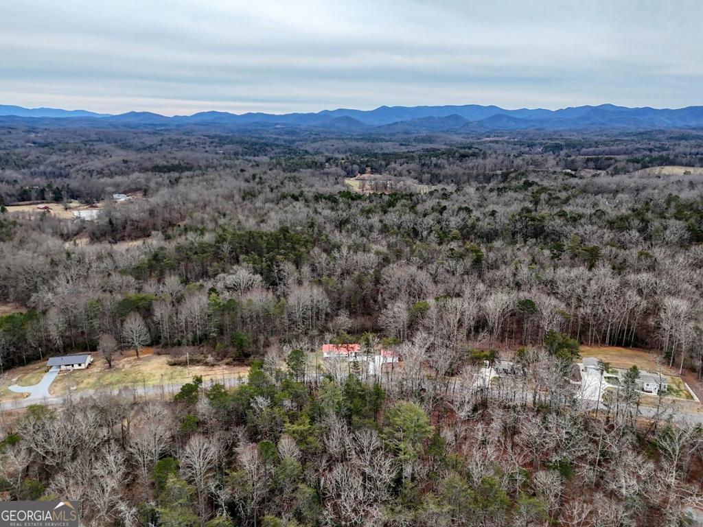643 Number 20 Mine Road Property Photo 55