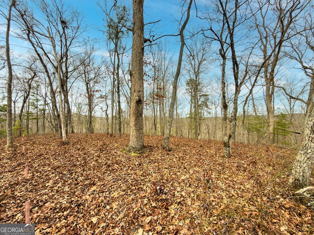 Lts 156 & 157 Harris Creek Drive Property Photo 1