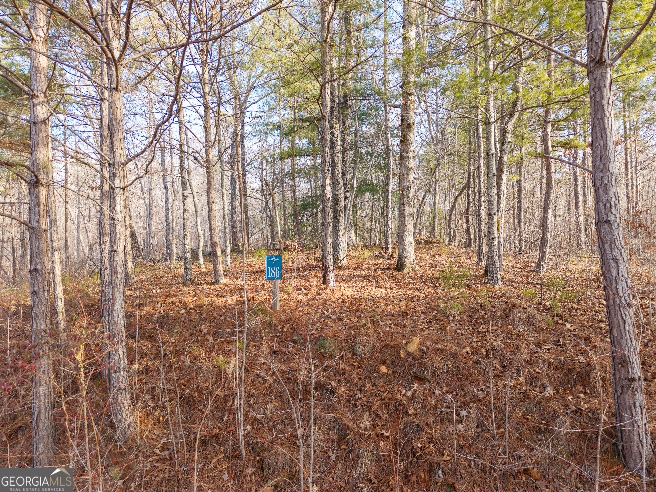 Lot 186 Harris Ridge Lane Property Photo 1