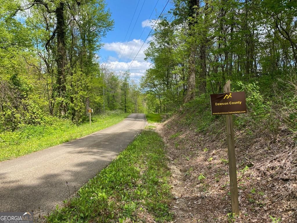 0 Burnt Mountain Cove Road Property Photo 3