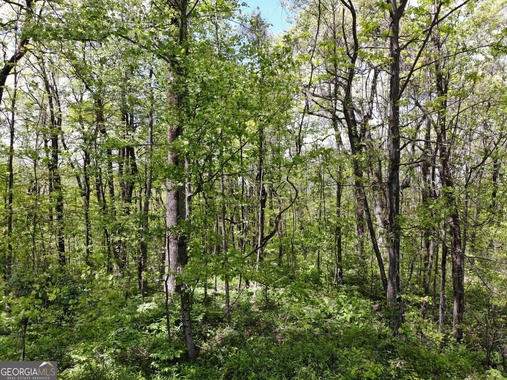 0 Burnt Mountain Cove Road Property Photo 6