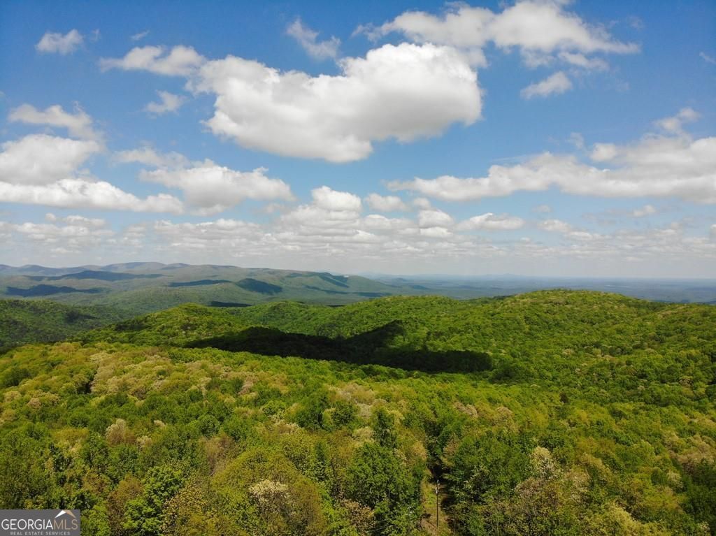 0 Burnt Mountain Cove Road Property Photo 8
