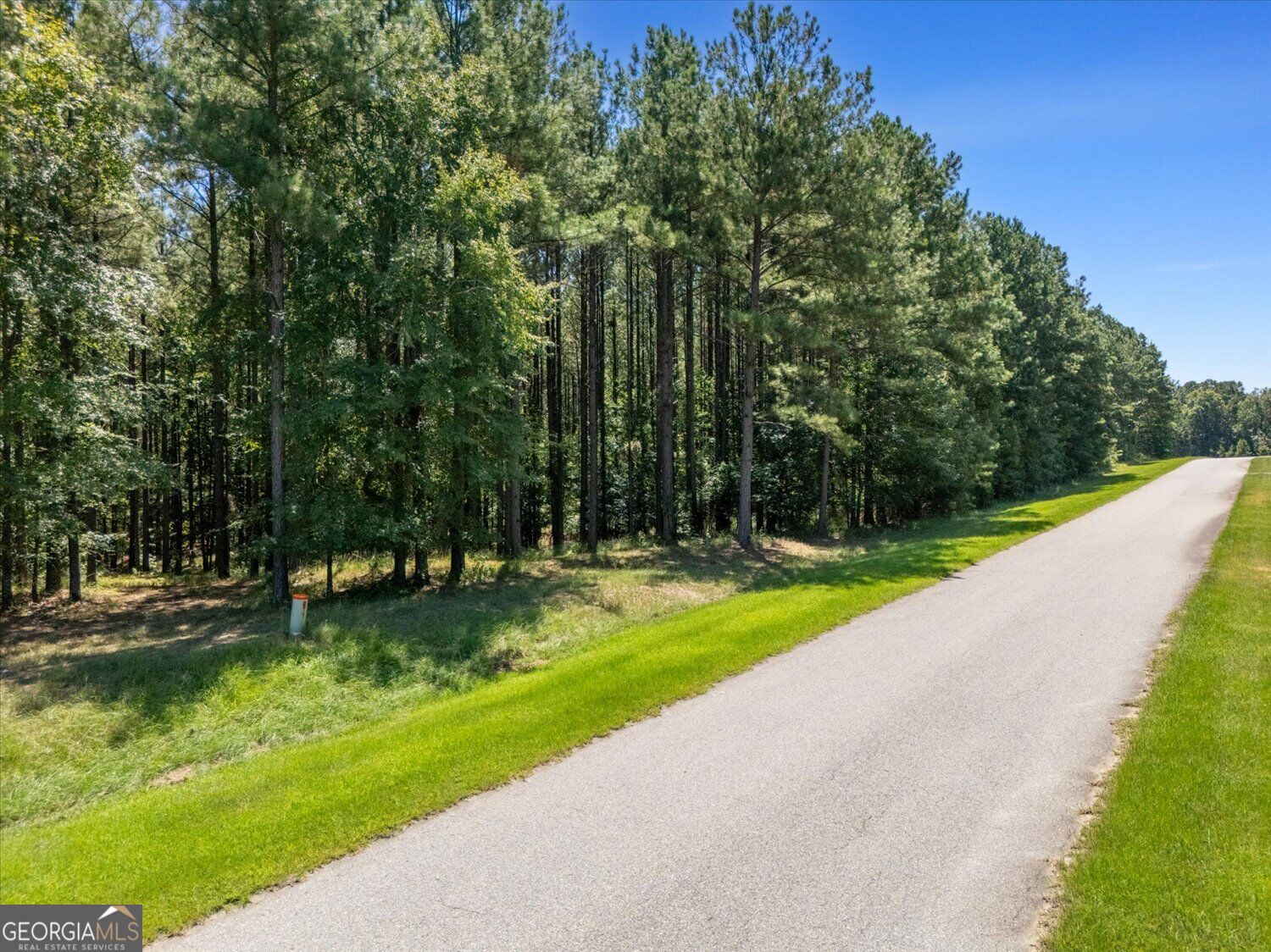 1250 Striper Cove Property Photo 5