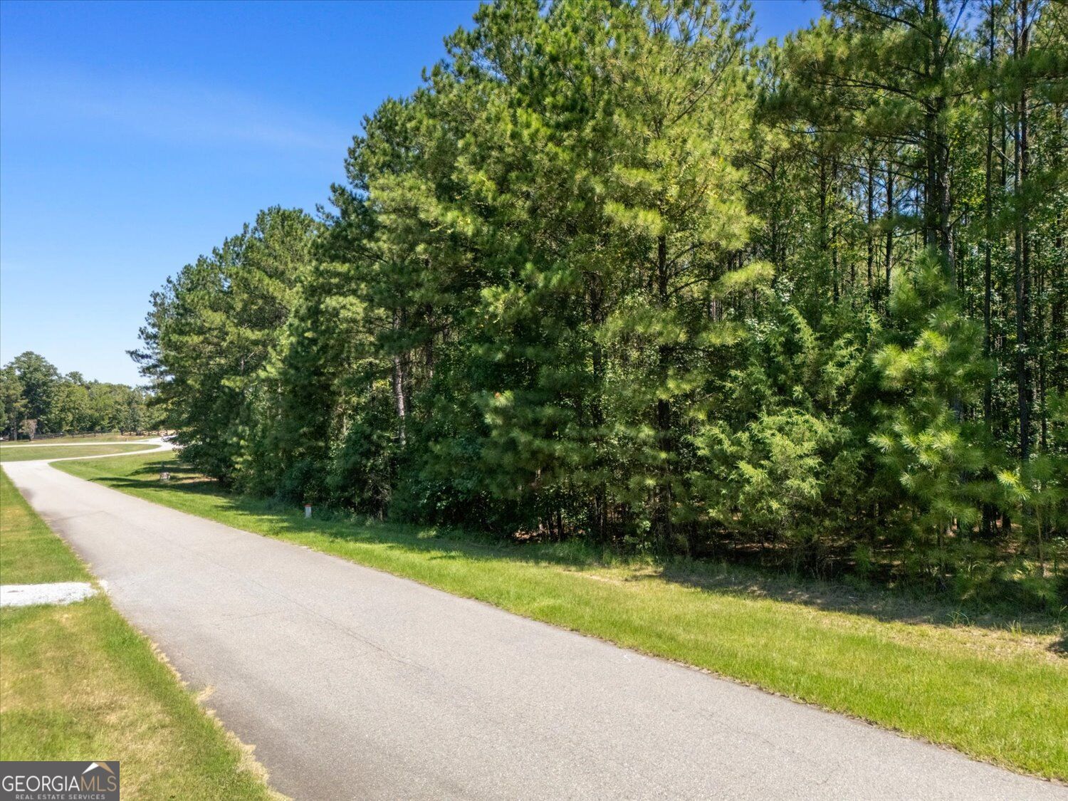 1250 Striper Cove Property Photo 6