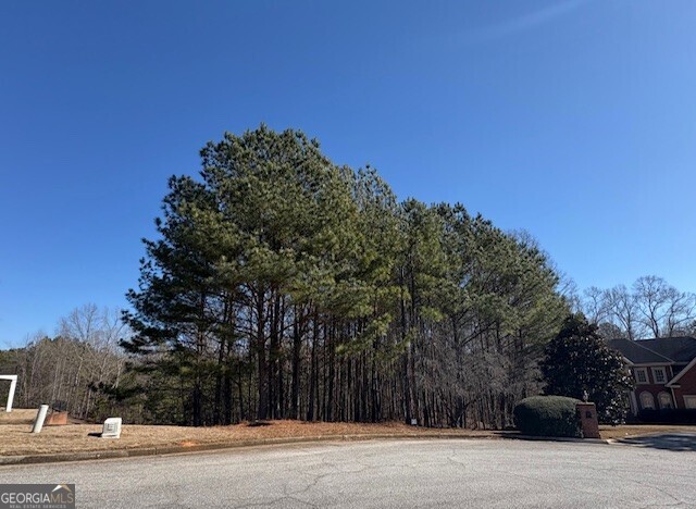 4290 Bronte Lane Property Photo 1