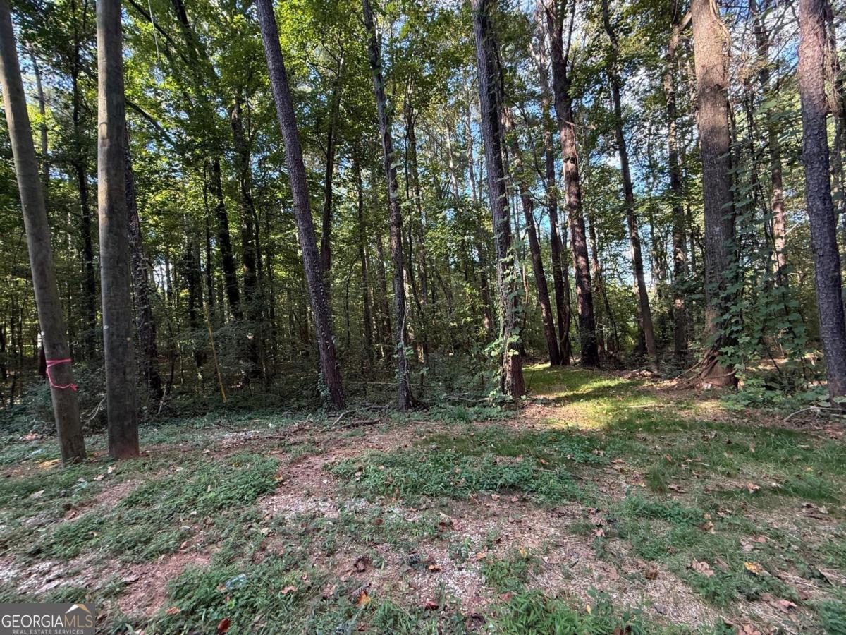 5160 Selene Drive Property Photo 1