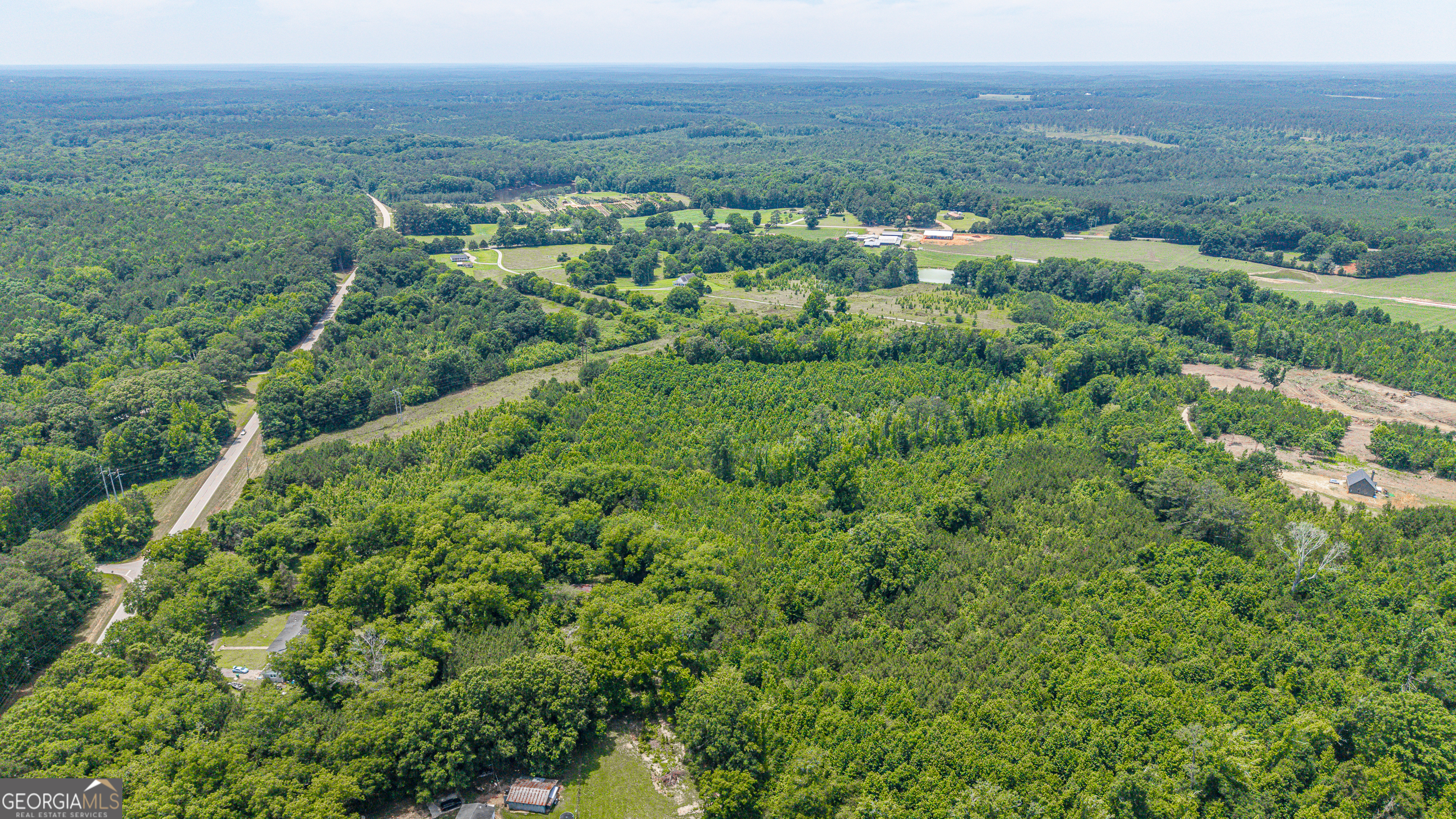 0 Washington Highway Property Photo 4