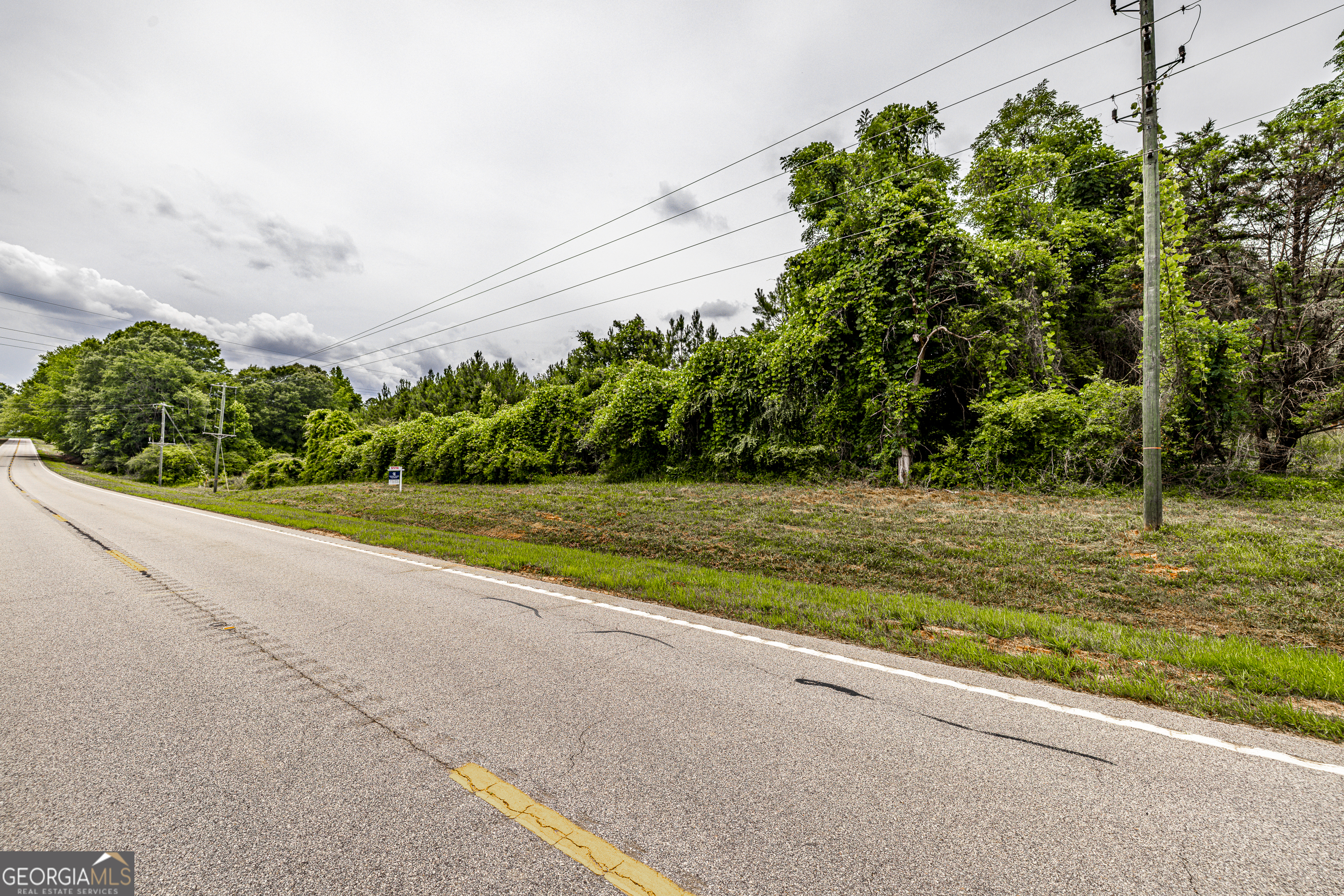 0 Washington Highway Property Photo 10