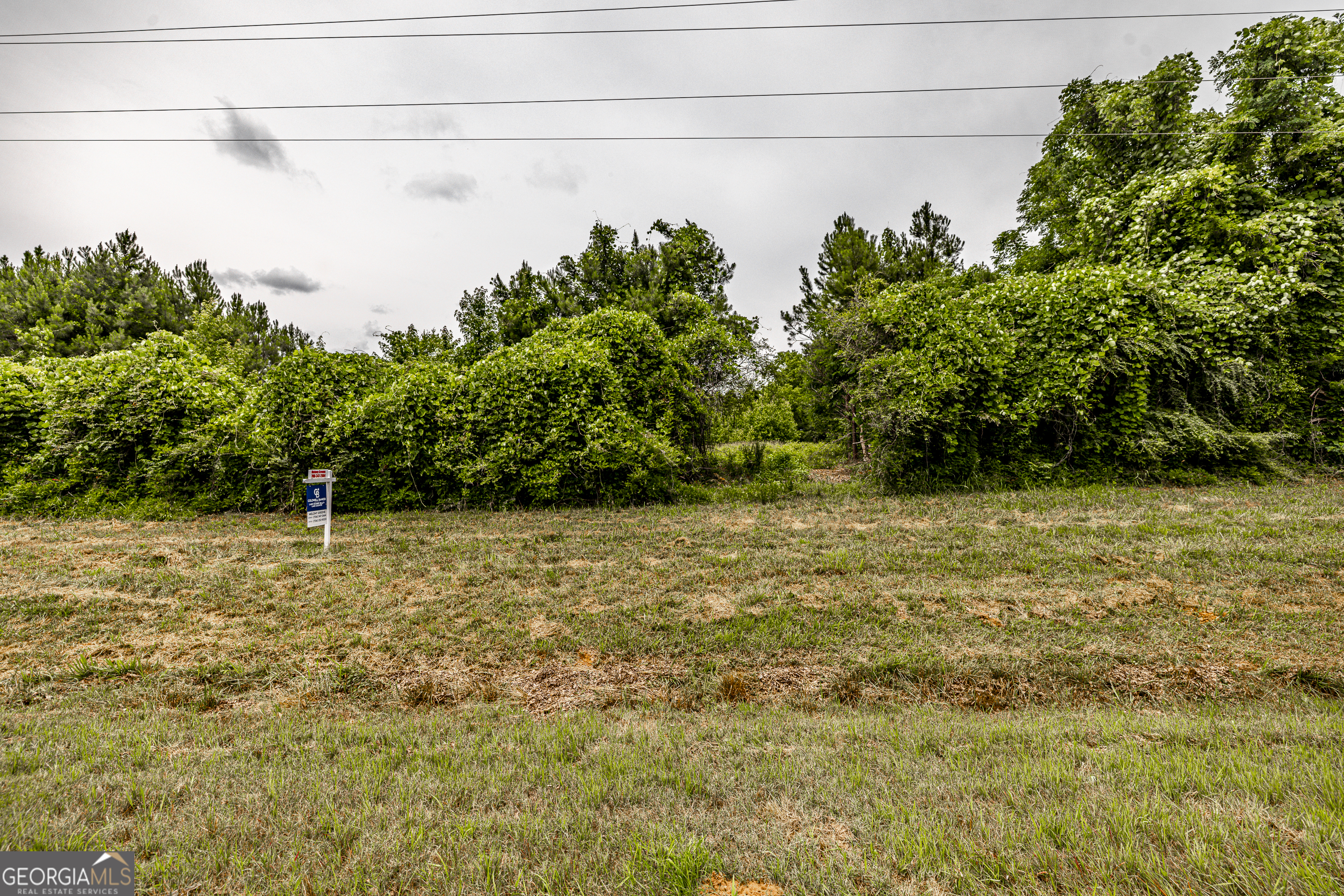 0 Washington Highway Property Photo 11