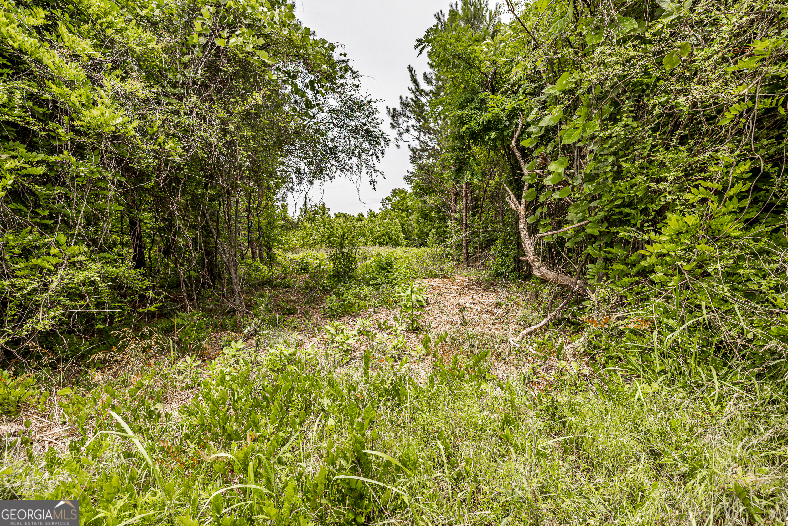 0 Washington Highway Property Photo 12