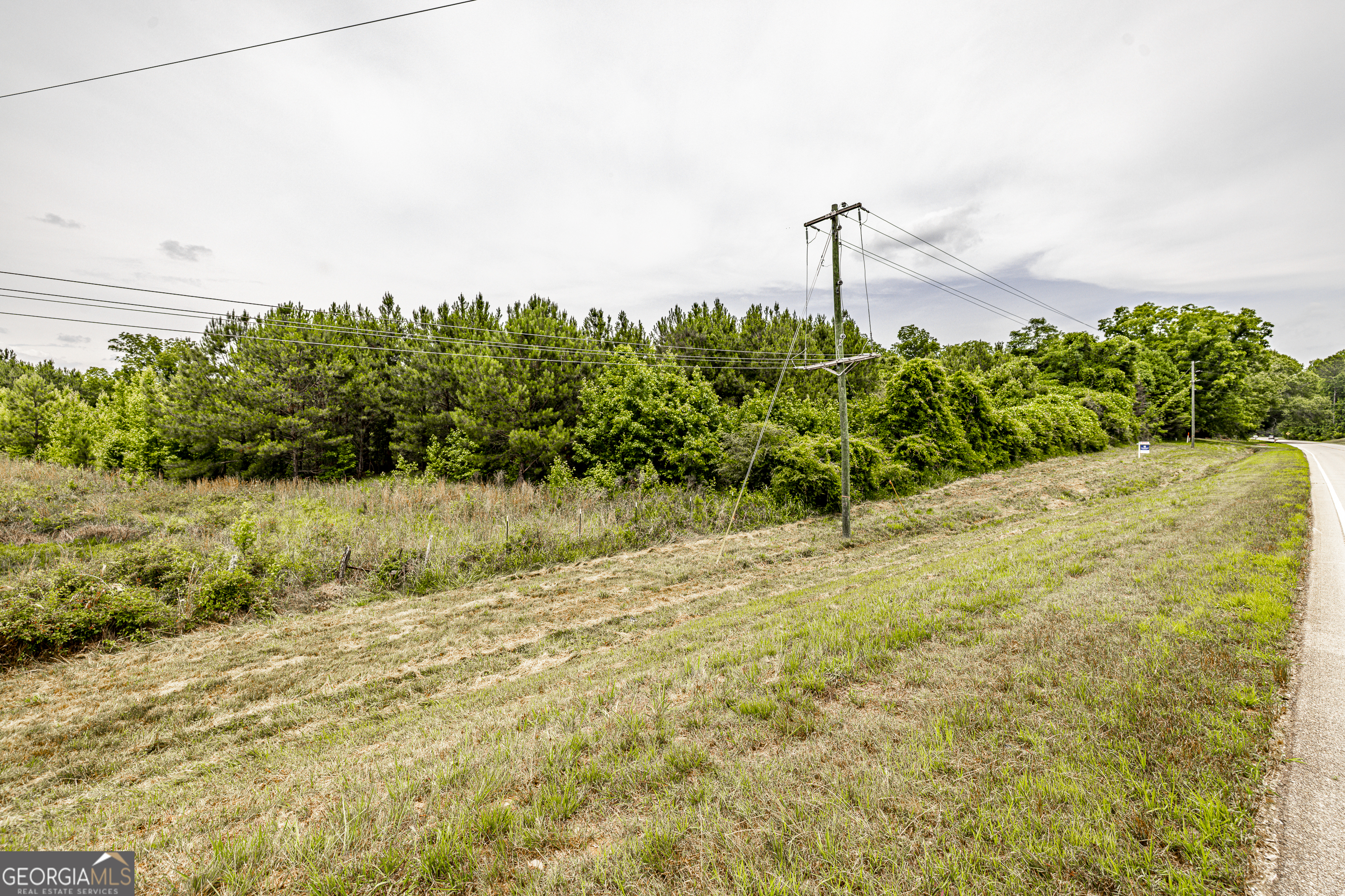 0 Washington Highway Property Photo 13