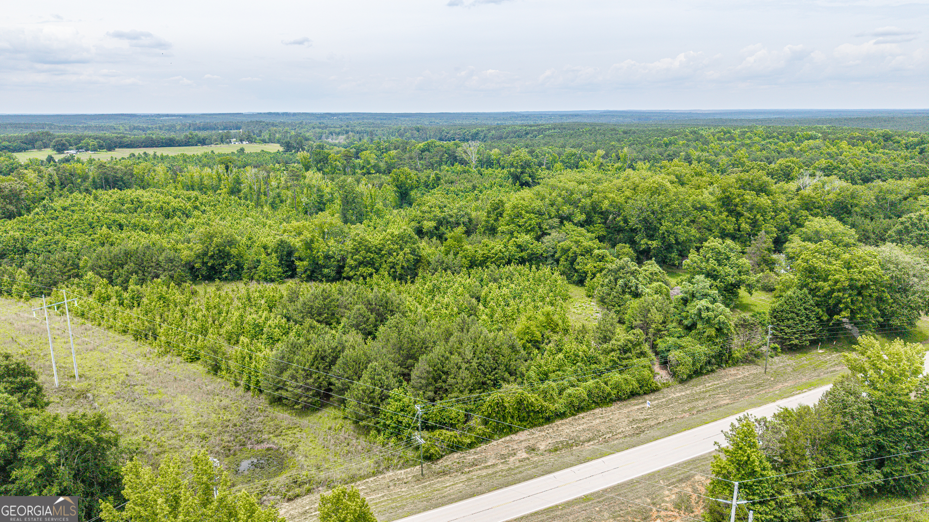 0 Washington Highway Property Photo 14