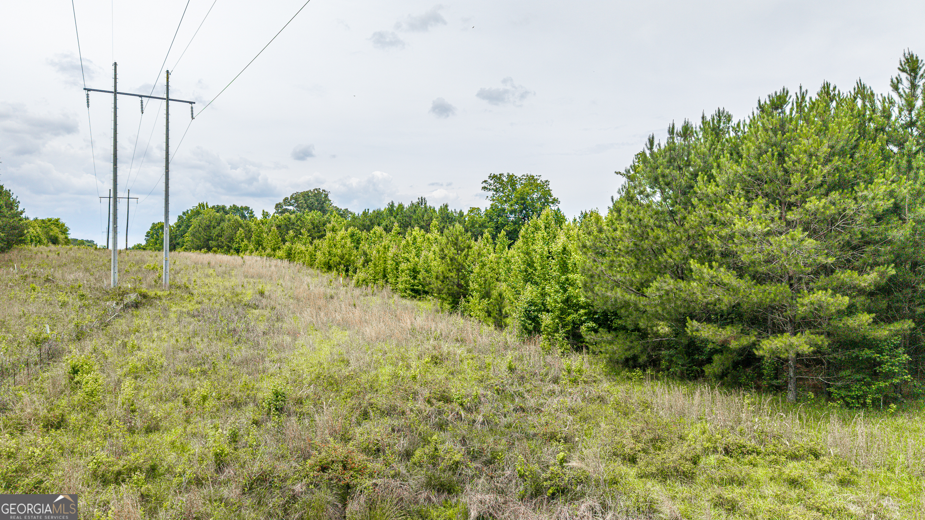 0 Washington Highway Property Photo 15