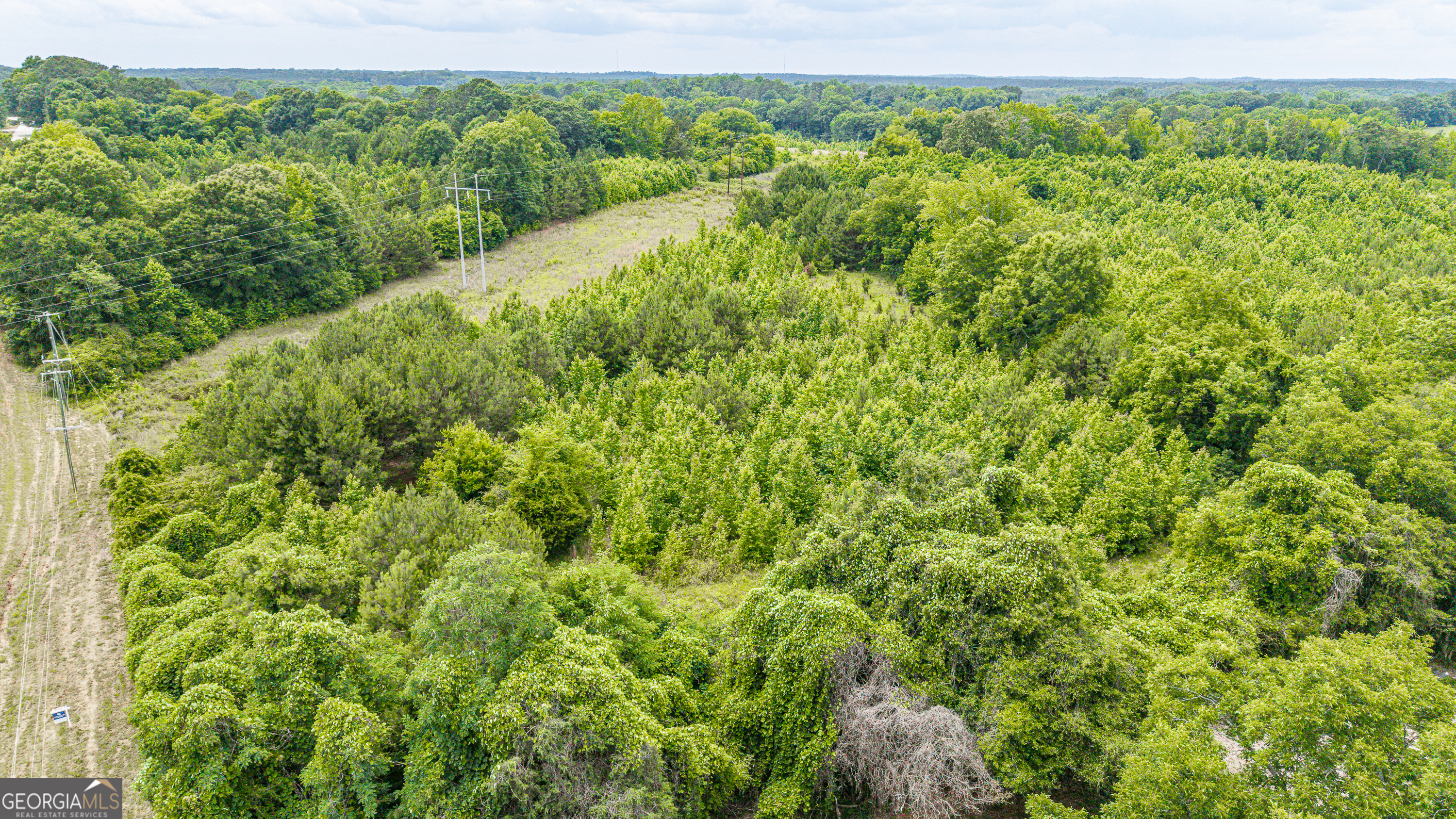 0 Washington Highway Property Photo 16