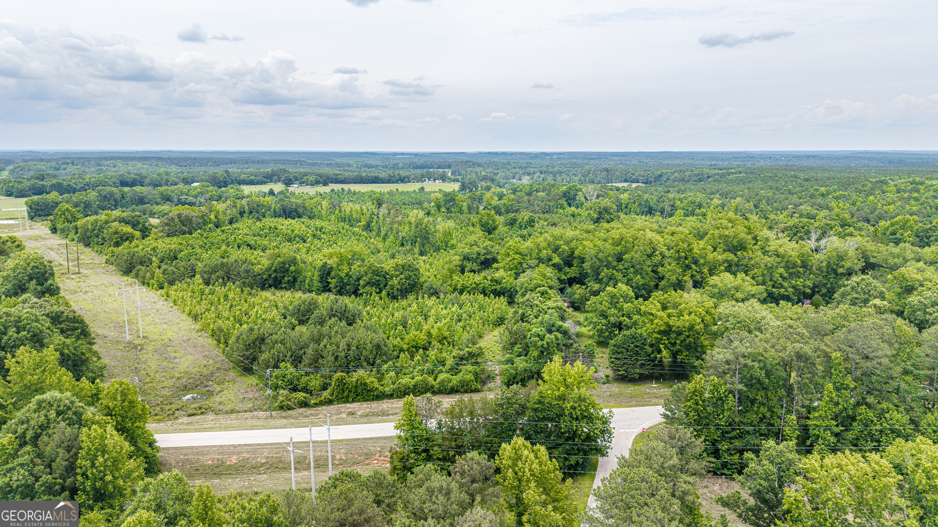 0 Washington Highway Property Photo 19