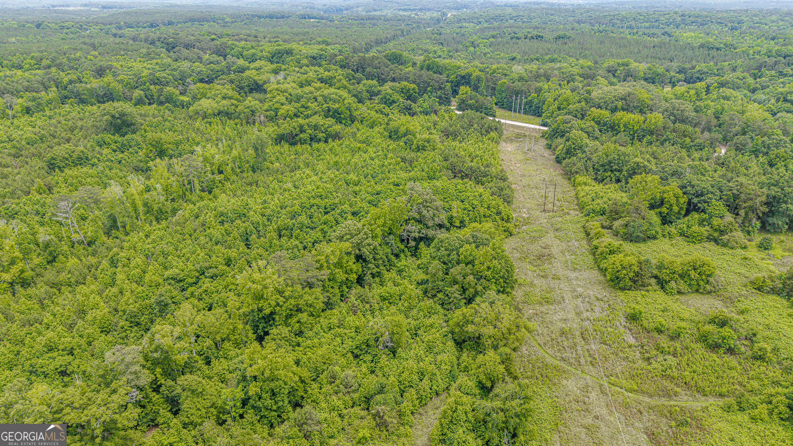 0 Washington Highway Property Photo 21